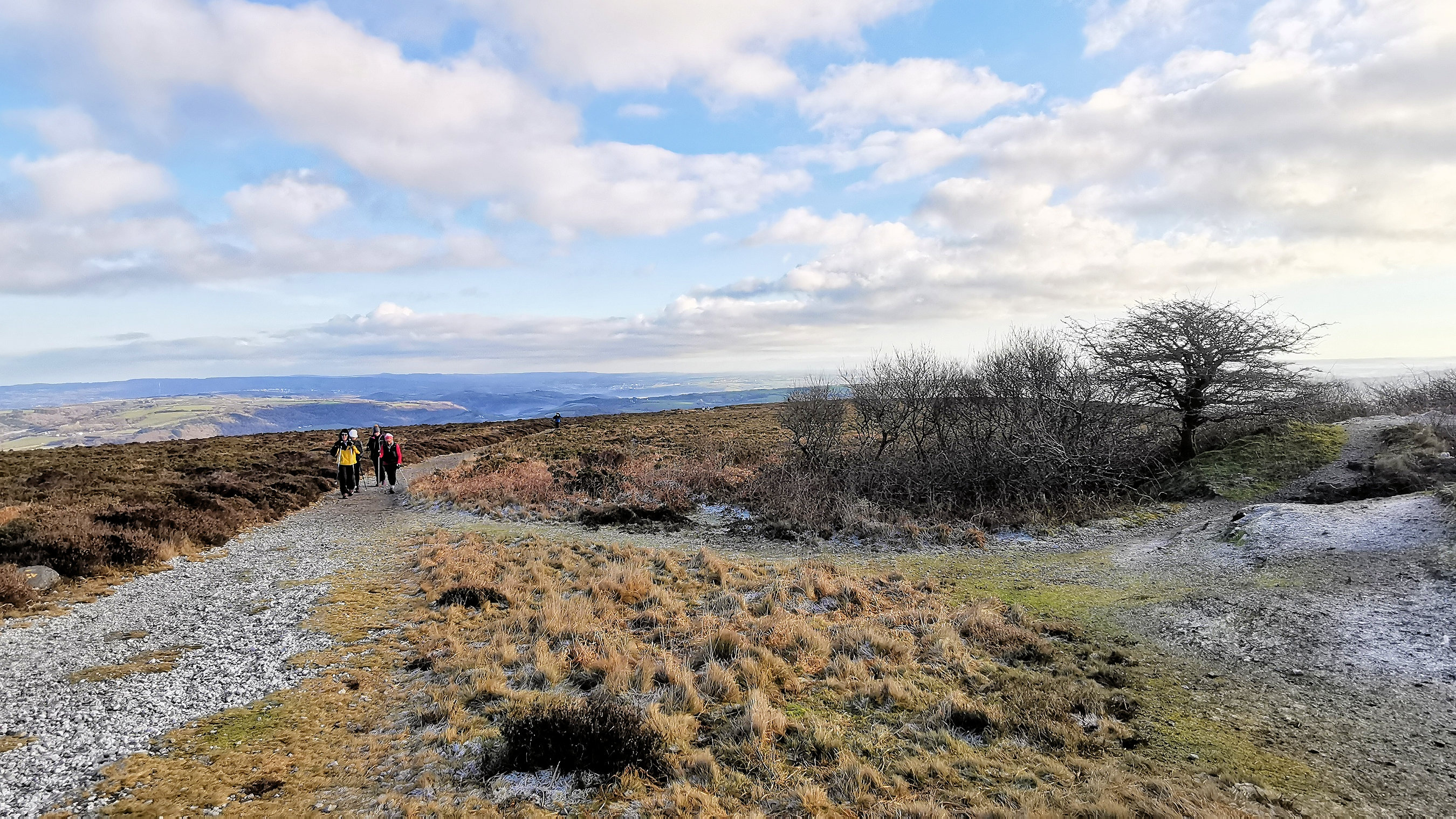 118-IMG_20210110_111523