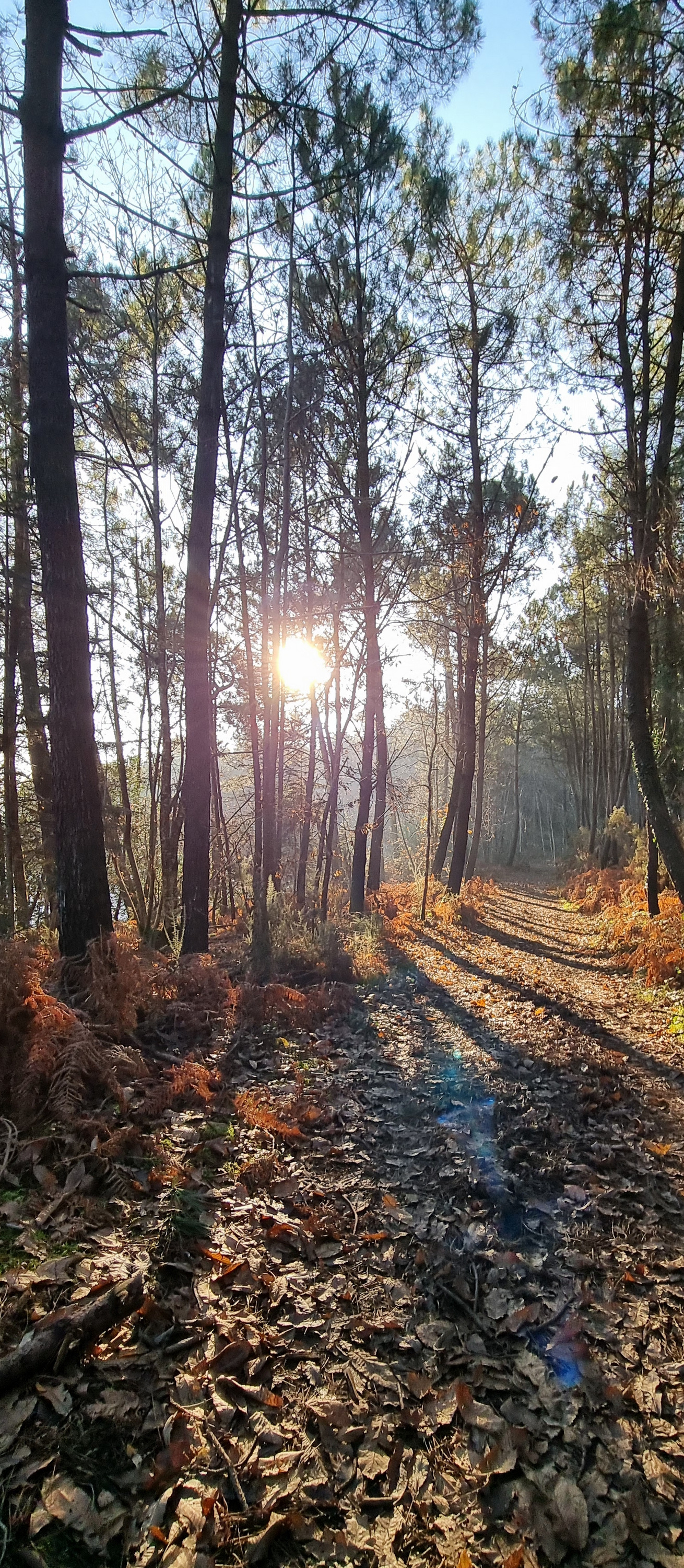 30-20211219_104330(0)