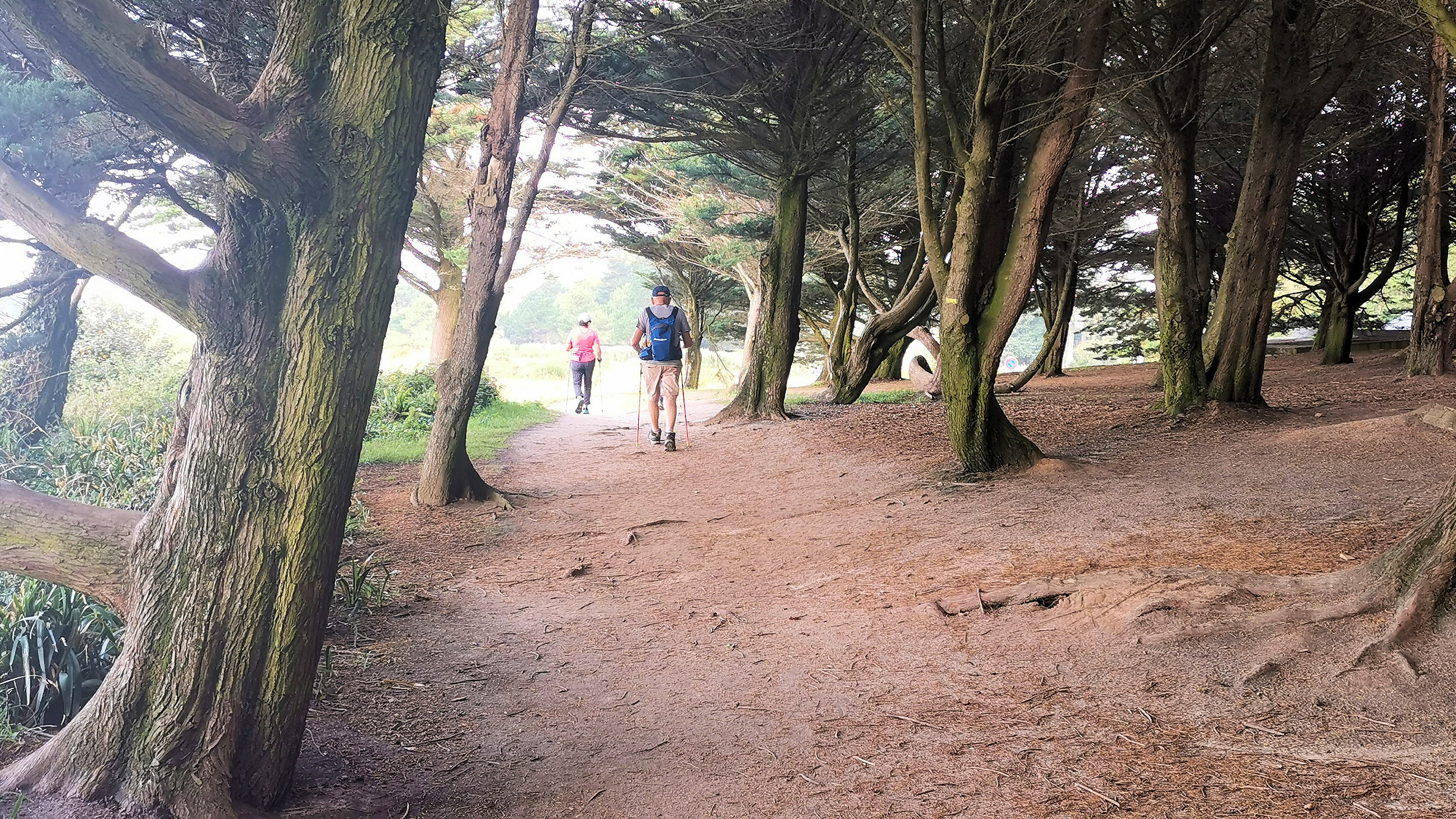 27-IMG_20210726_110647