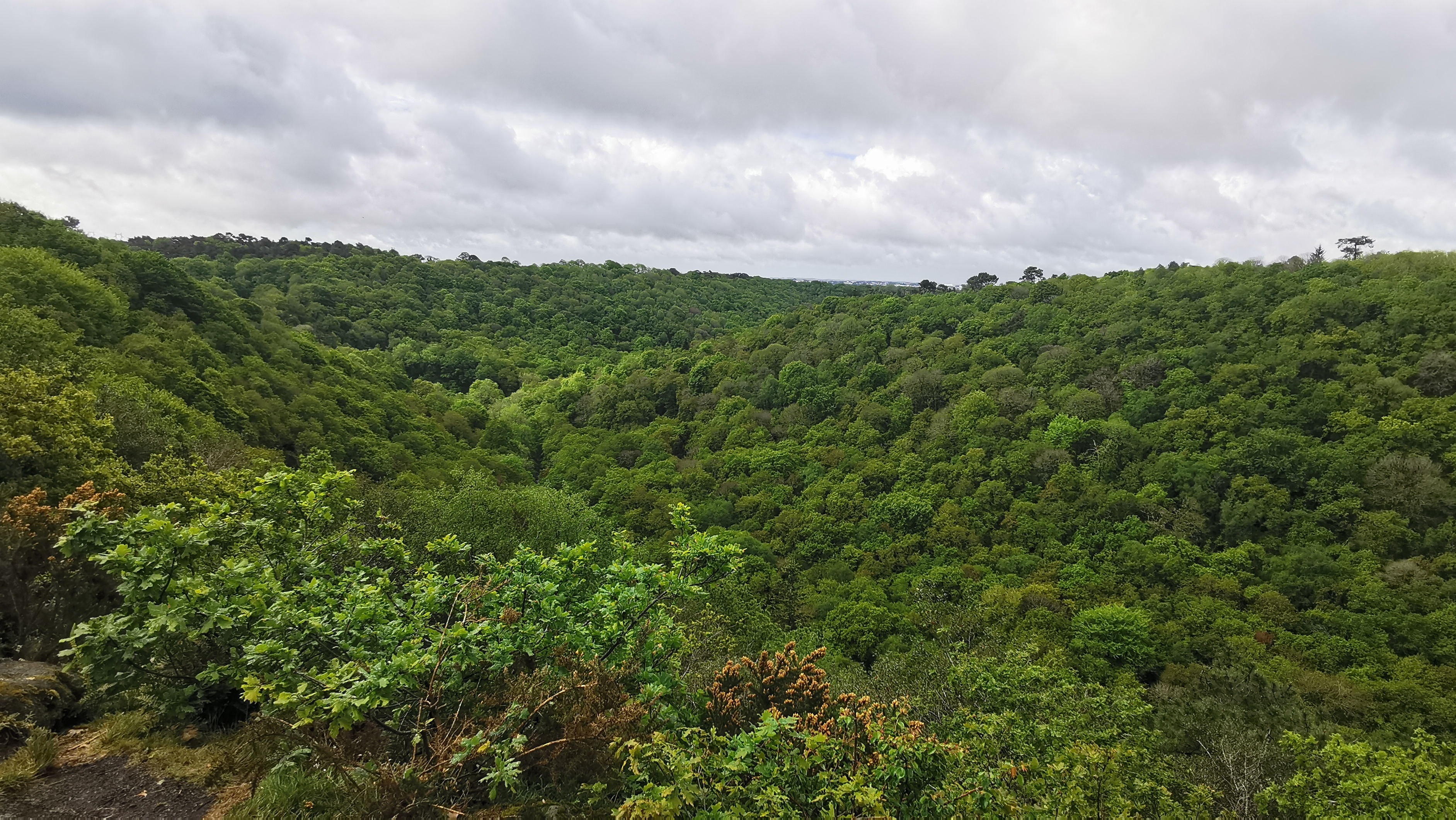 071-IMG_20210513_104327