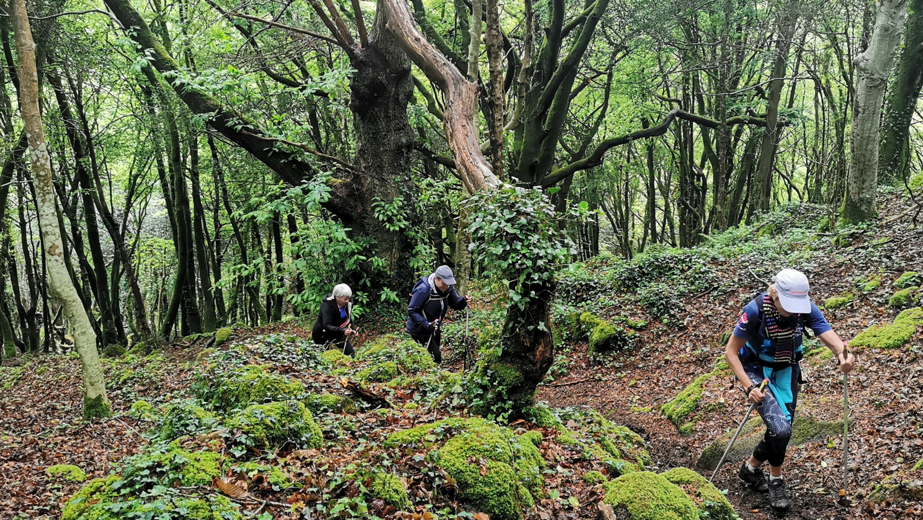 084-IMG_20210513_105541