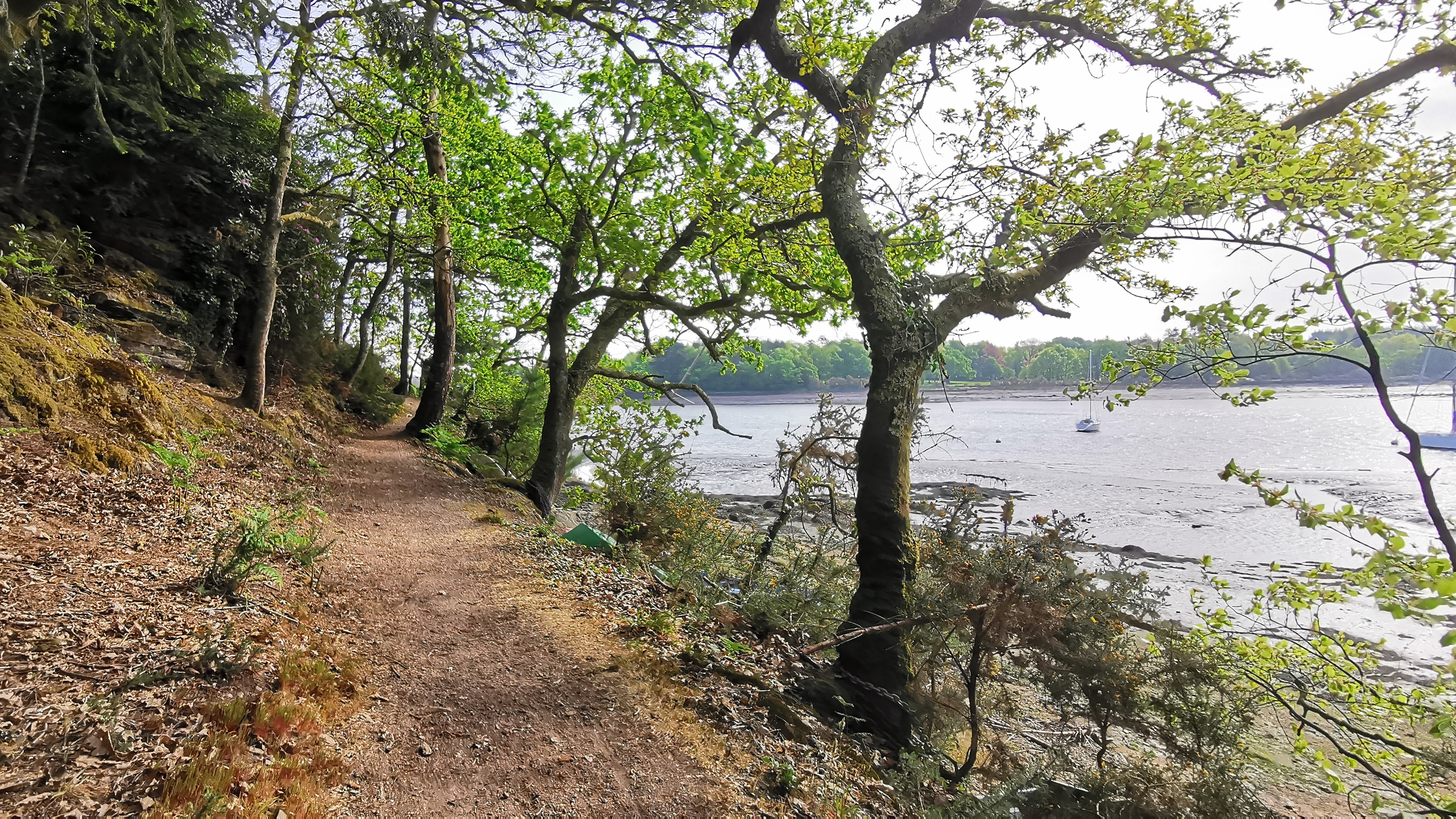 70-IMG_20210425_110815