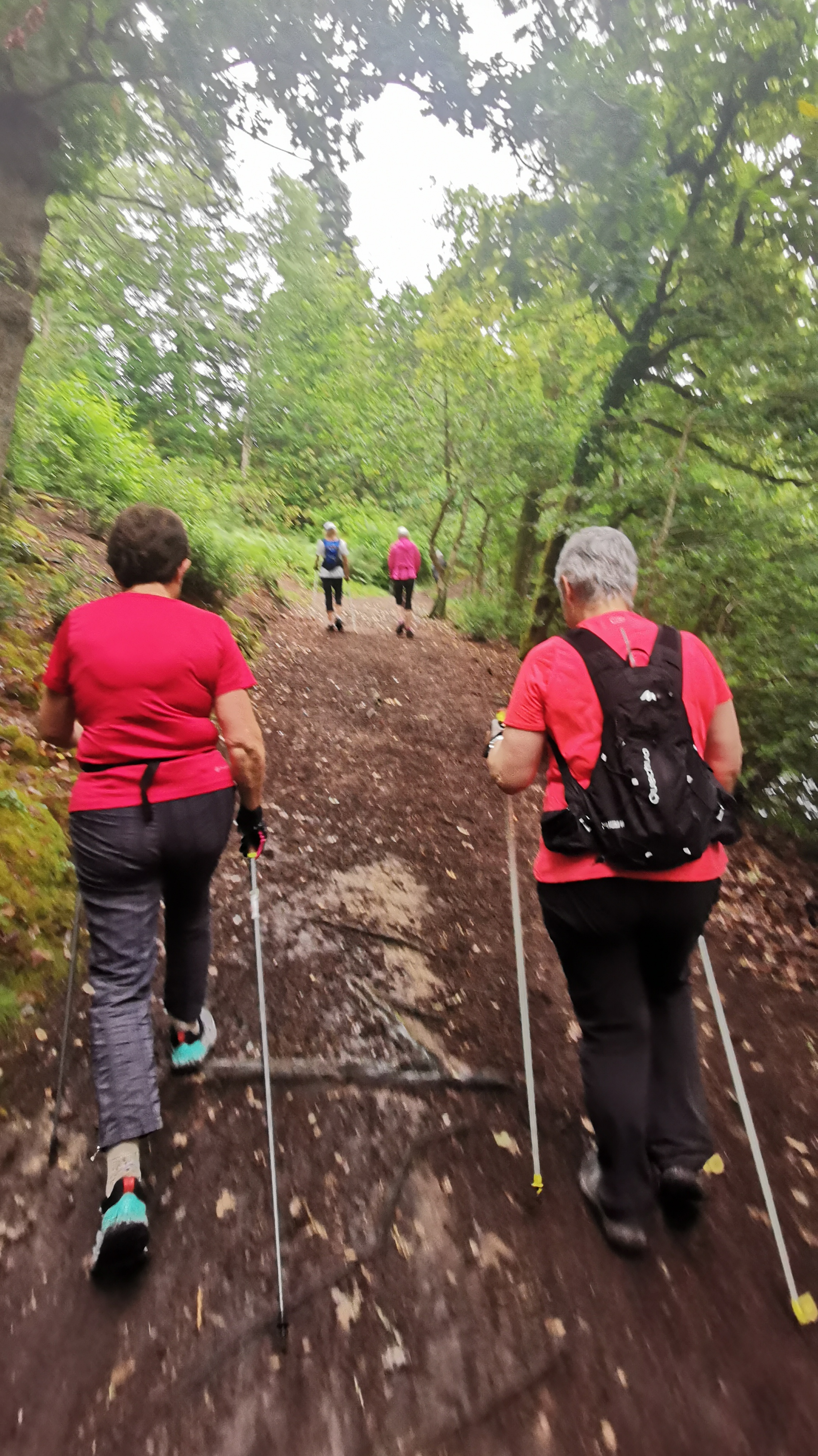 21-IMG_20210617_104126