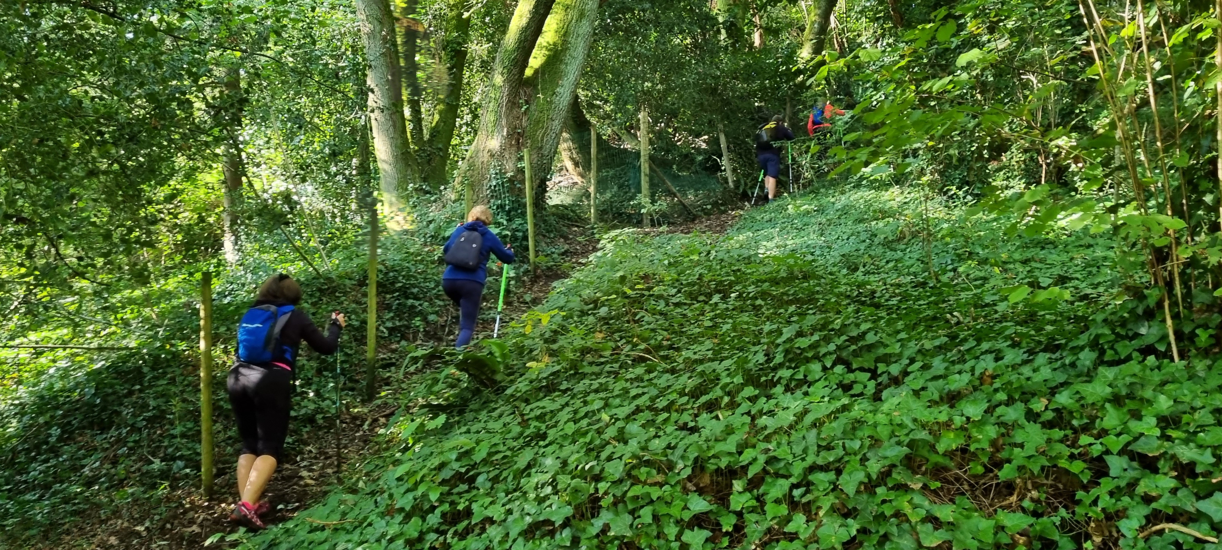 34-20211011_110318(0)