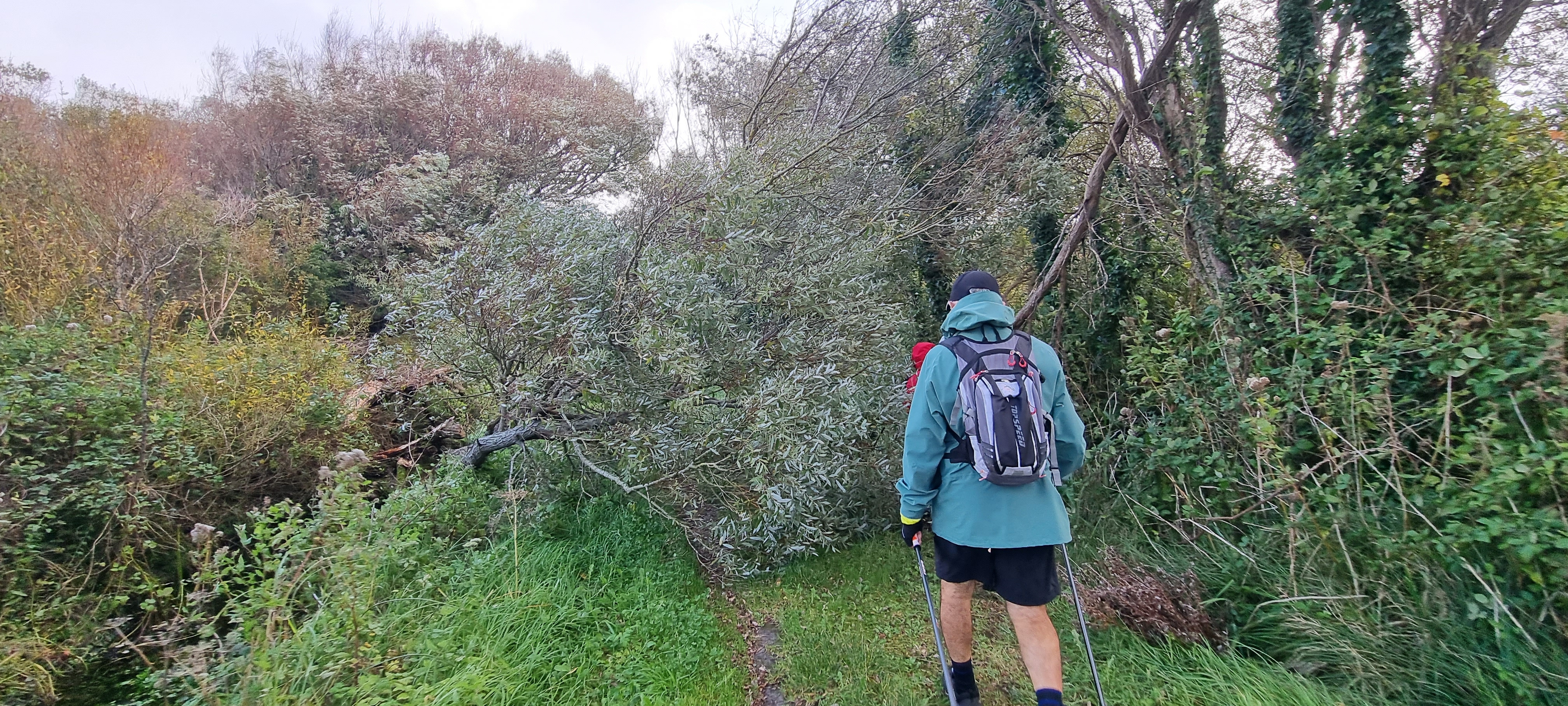 57-20211021_104210(0)