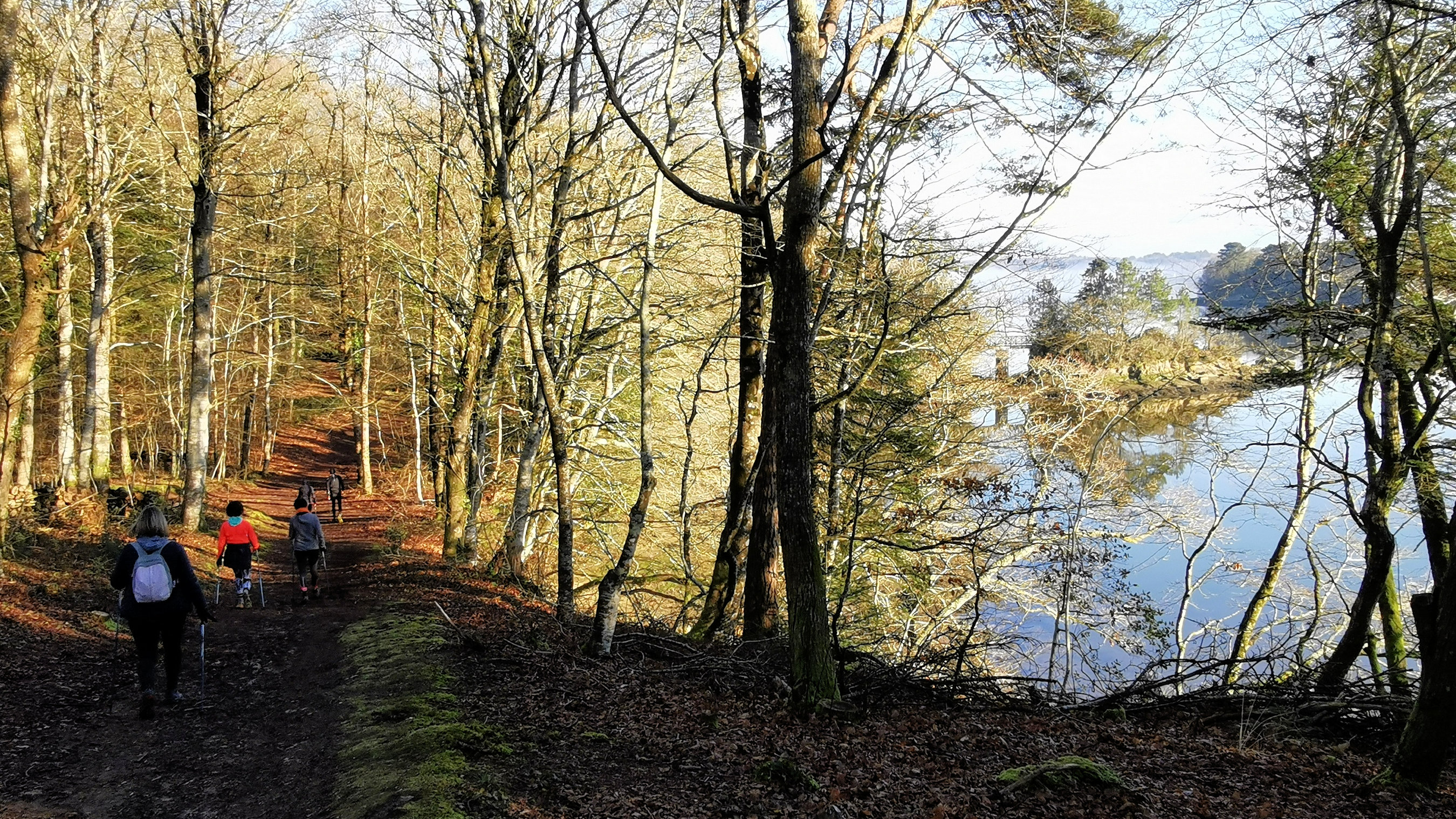 27-IMG_20210207_102149