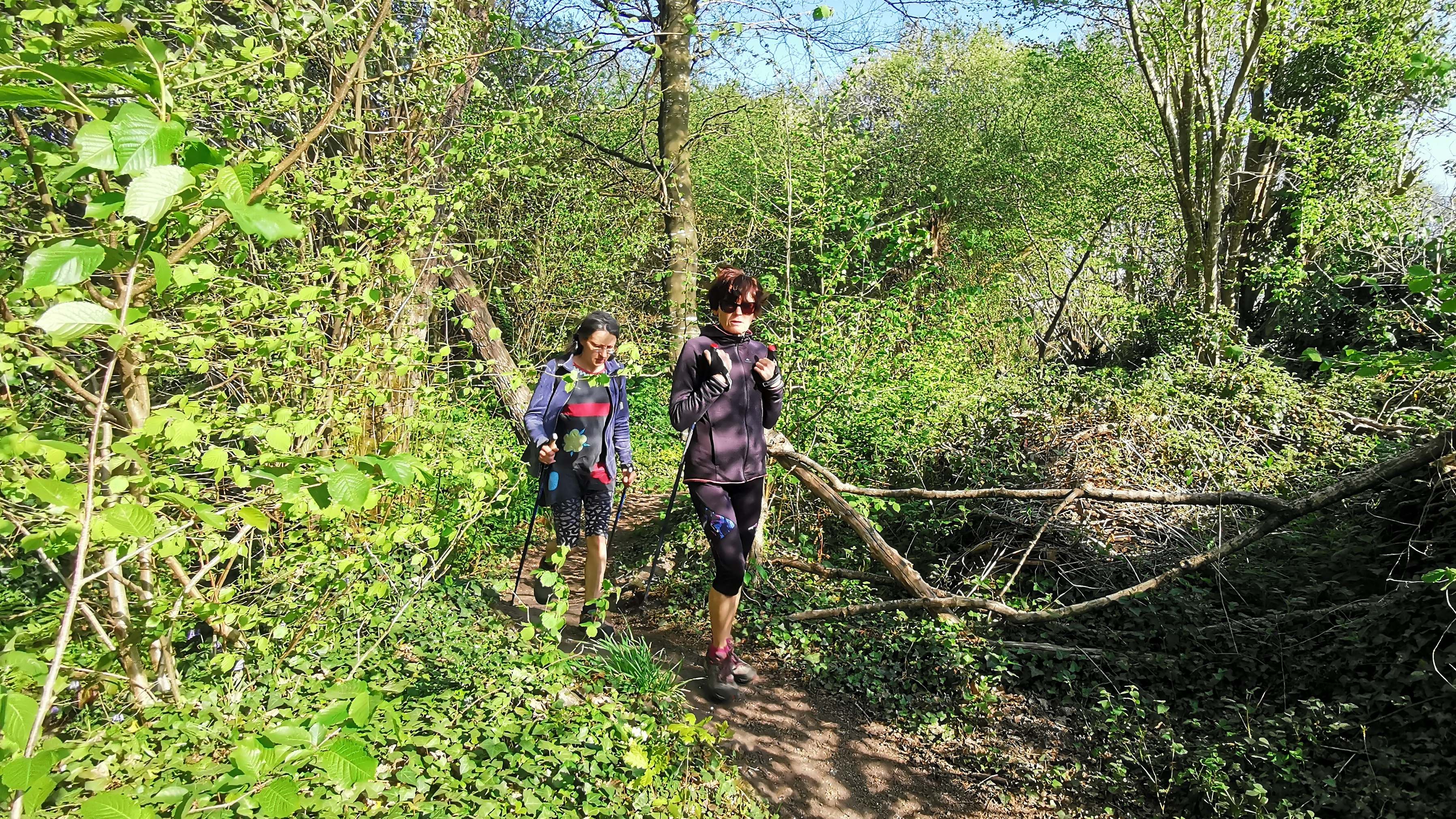 13-IMG_20210425_100315