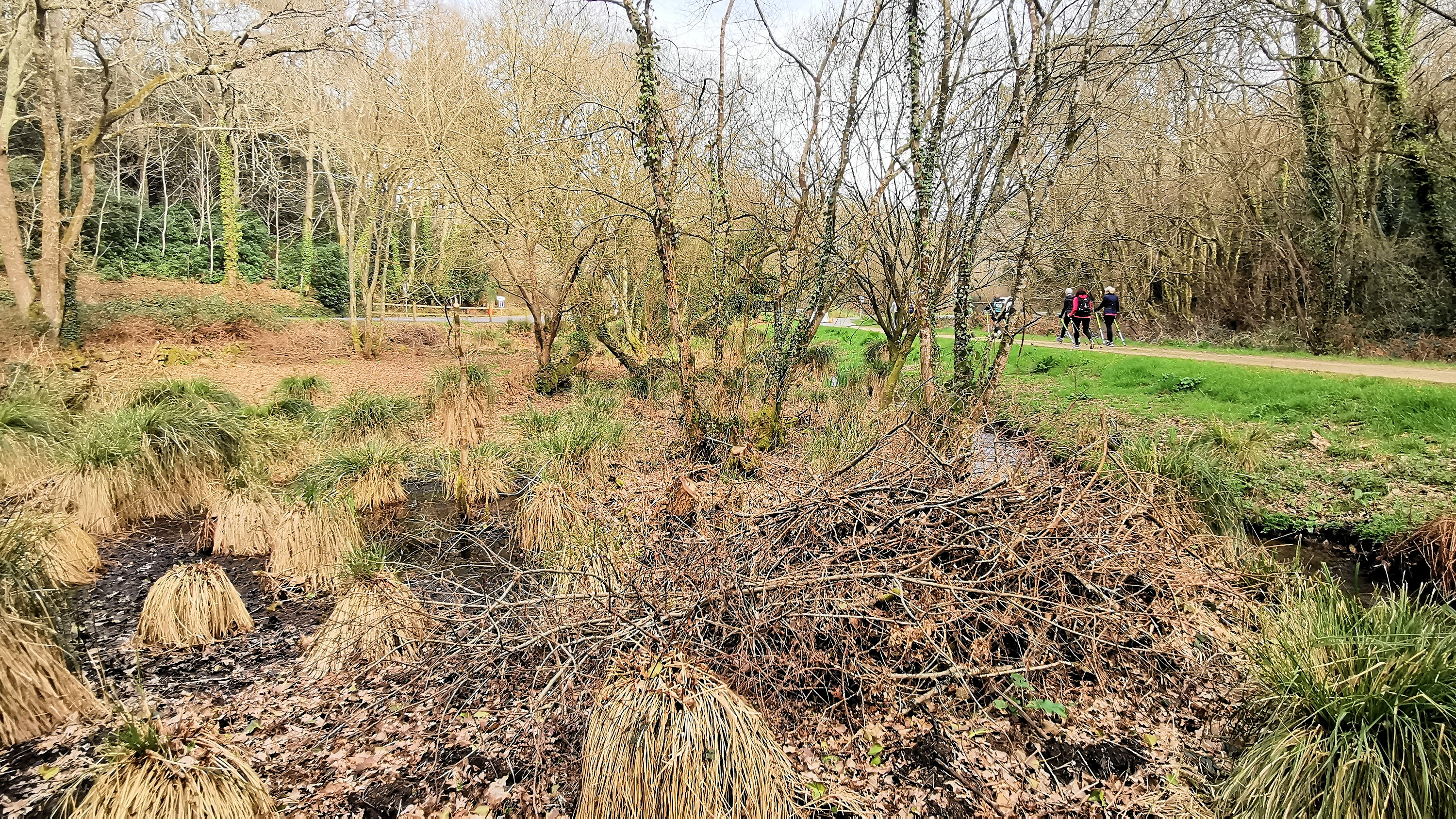 74-IMG_20210302_114100