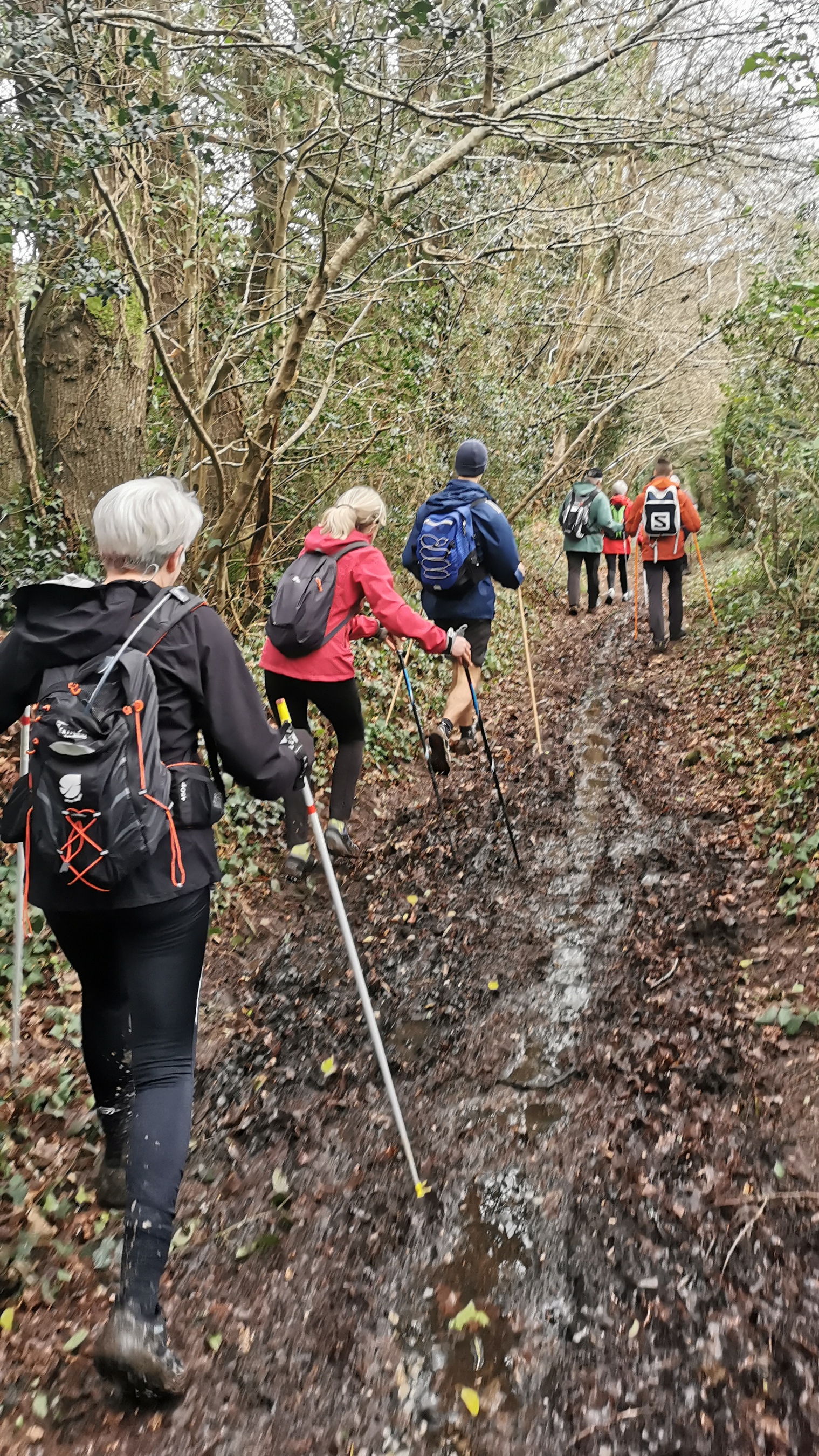 031-IMG_20210220_104415