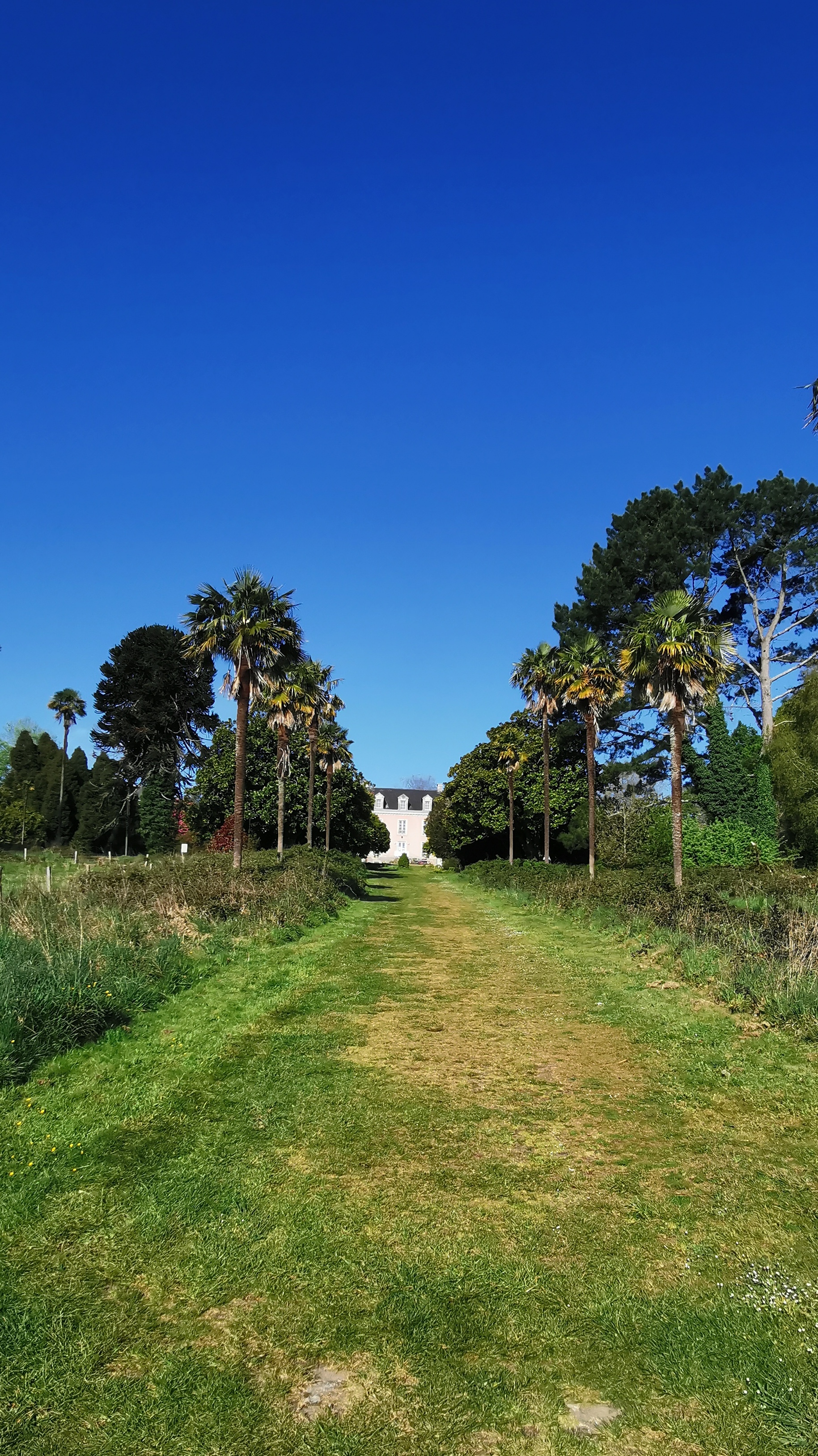 06-IMG_20210425_095110