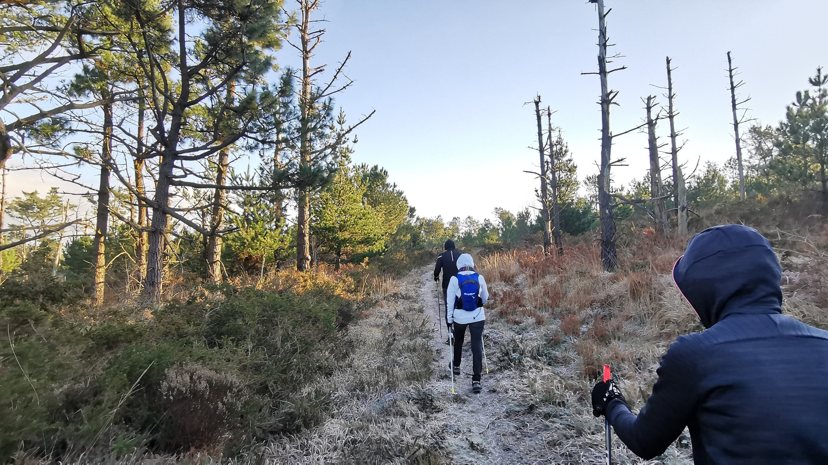 073-IMG_20210110_104729