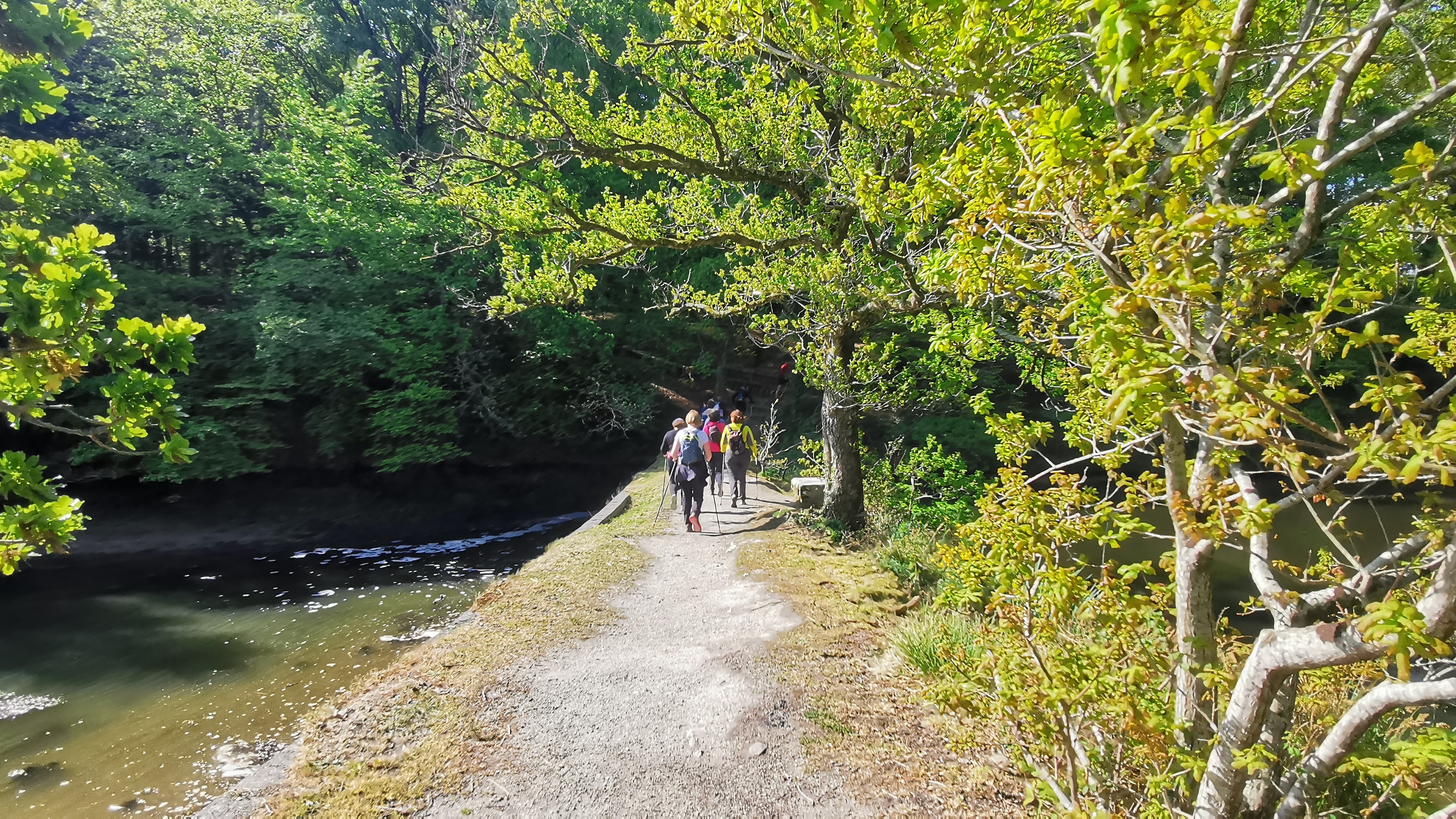 40-IMG_20210501_110645