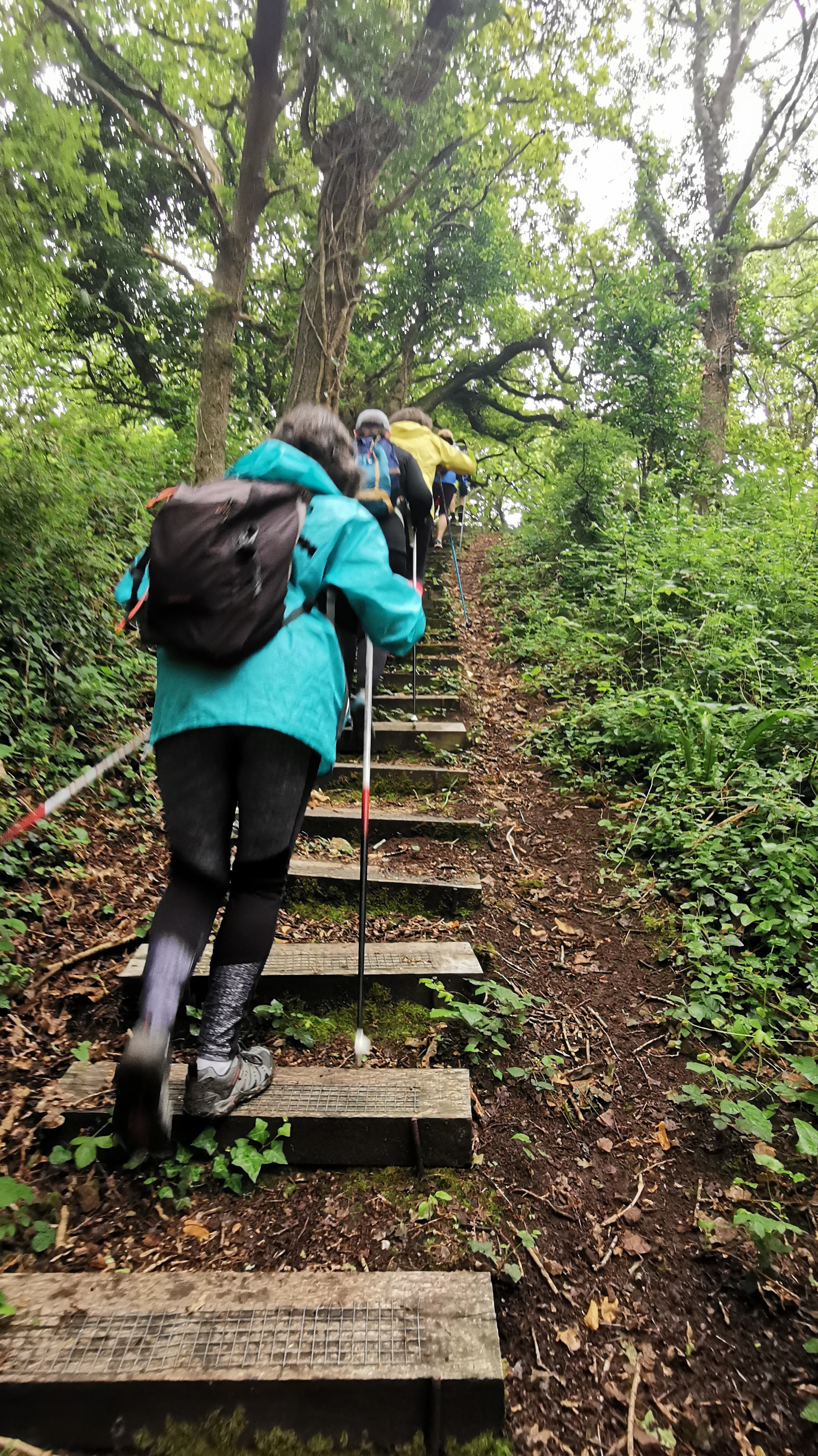 121-IMG_20210620_110702