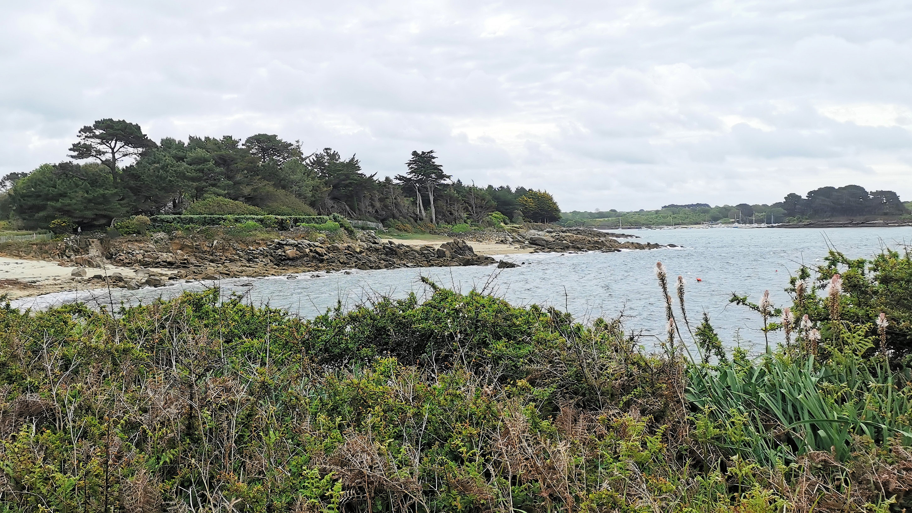 12-IMG_20210520_095508