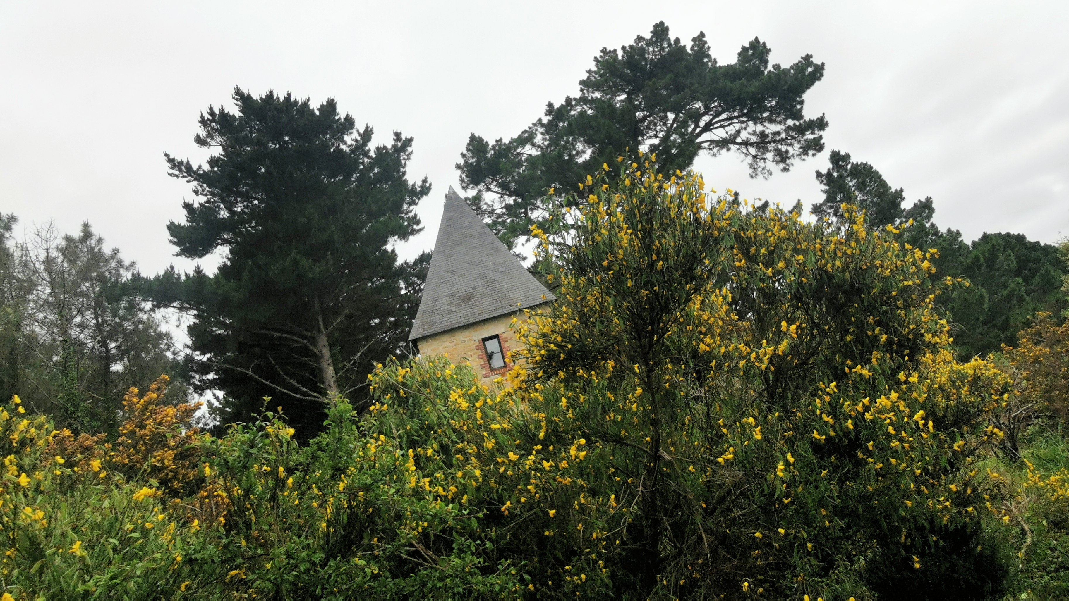 20-IMG_20210520_100034_1