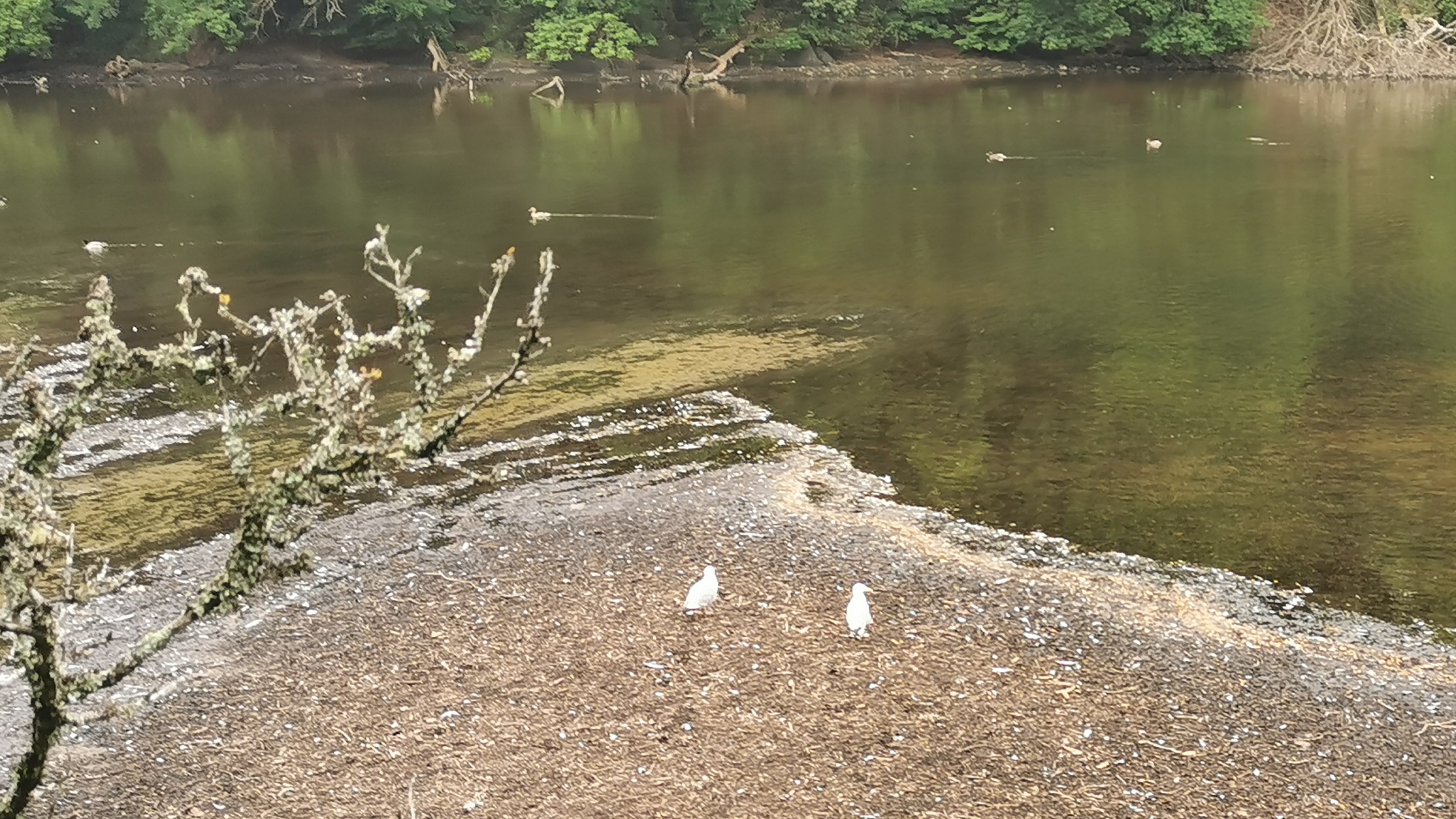 021-IMG_20210606_094753