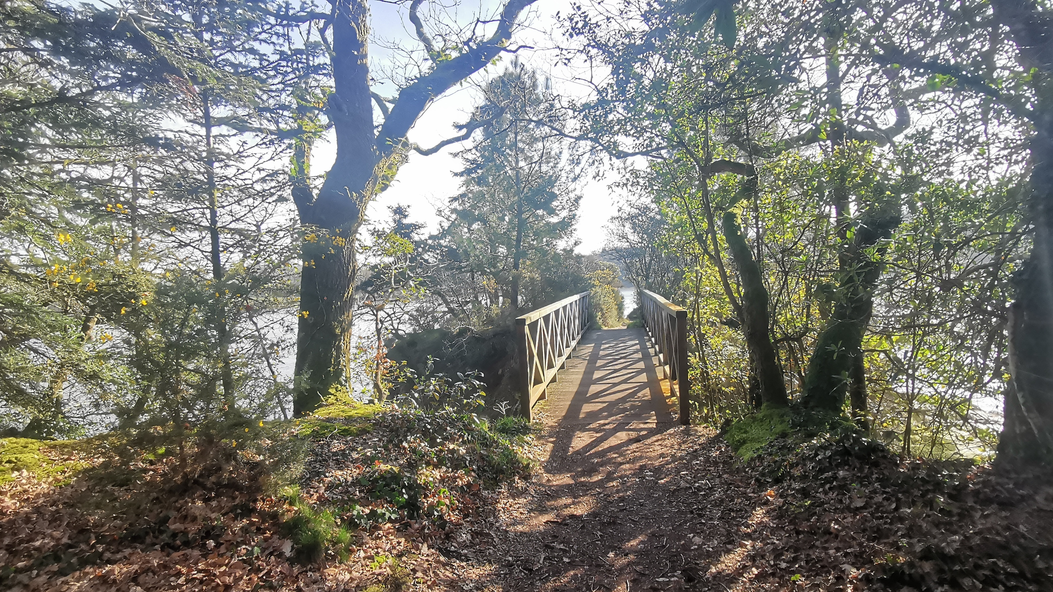 32-IMG_20210318_102748