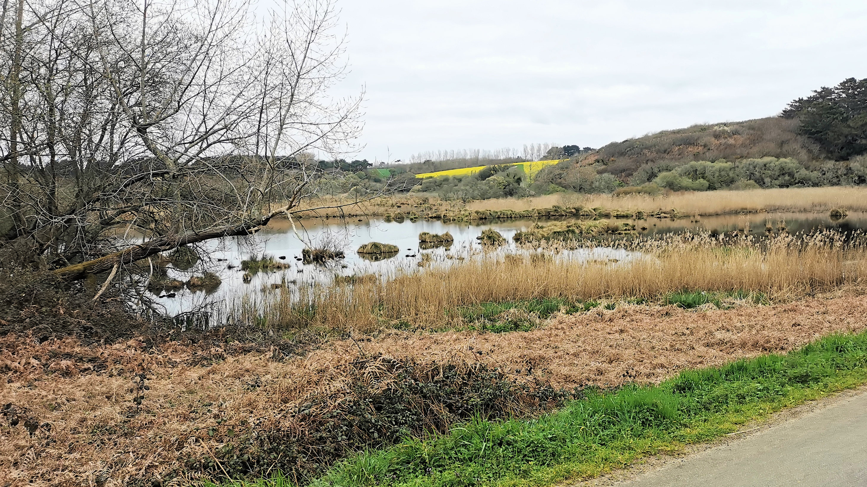 25-IMG_20210321_101007