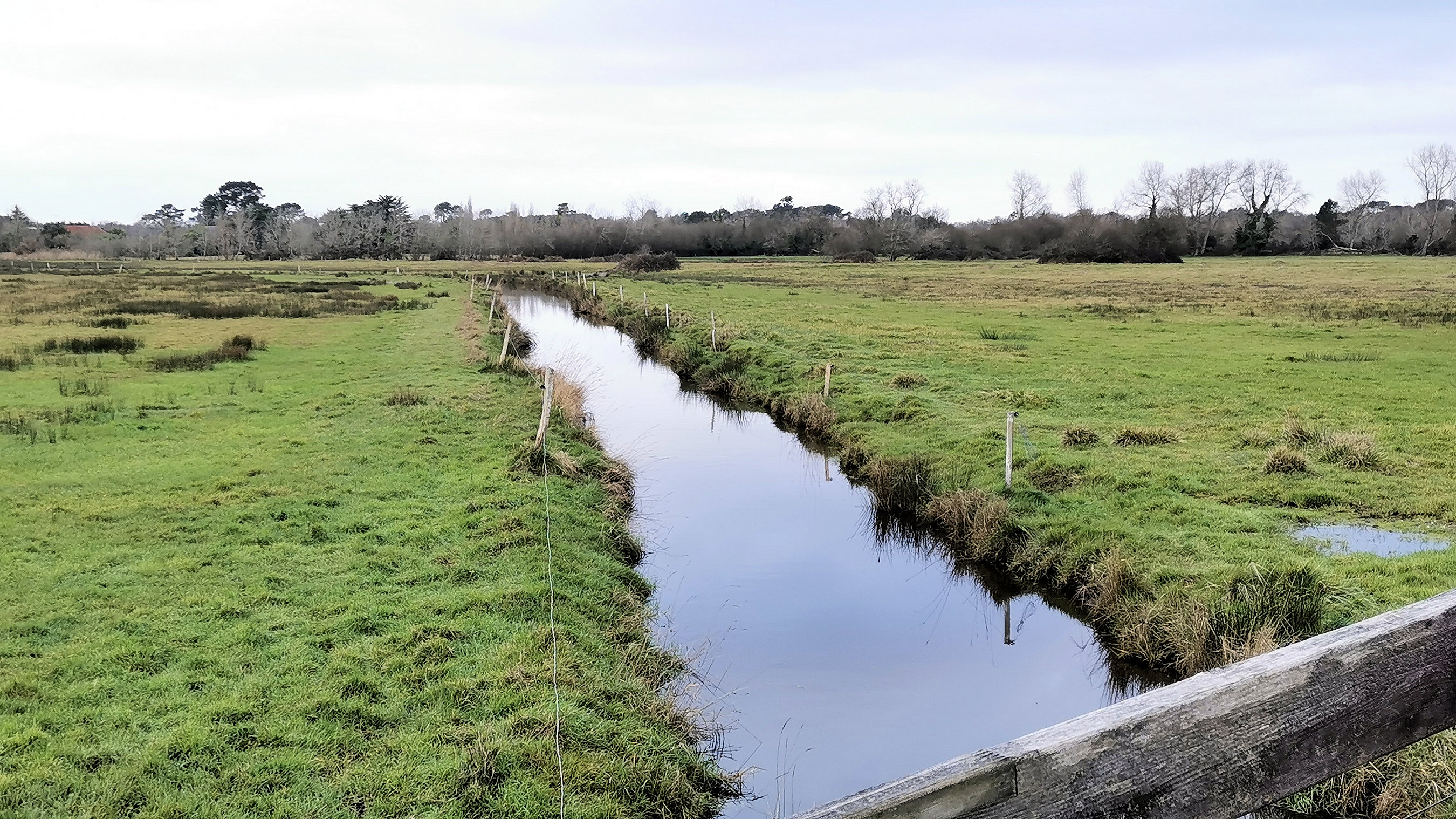 20-IMG_20210118_111217