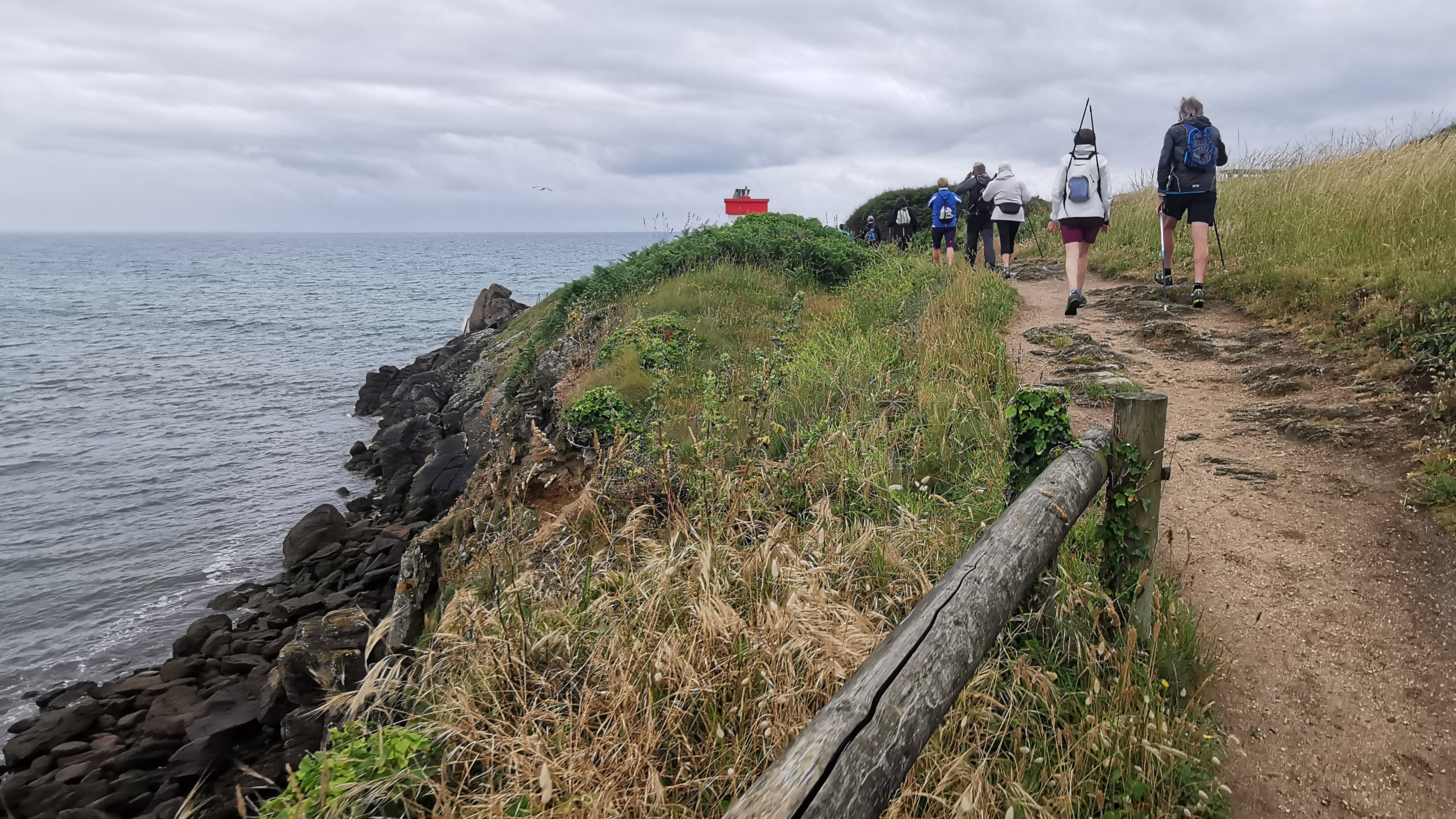 004-IMG_20210620_093933_1