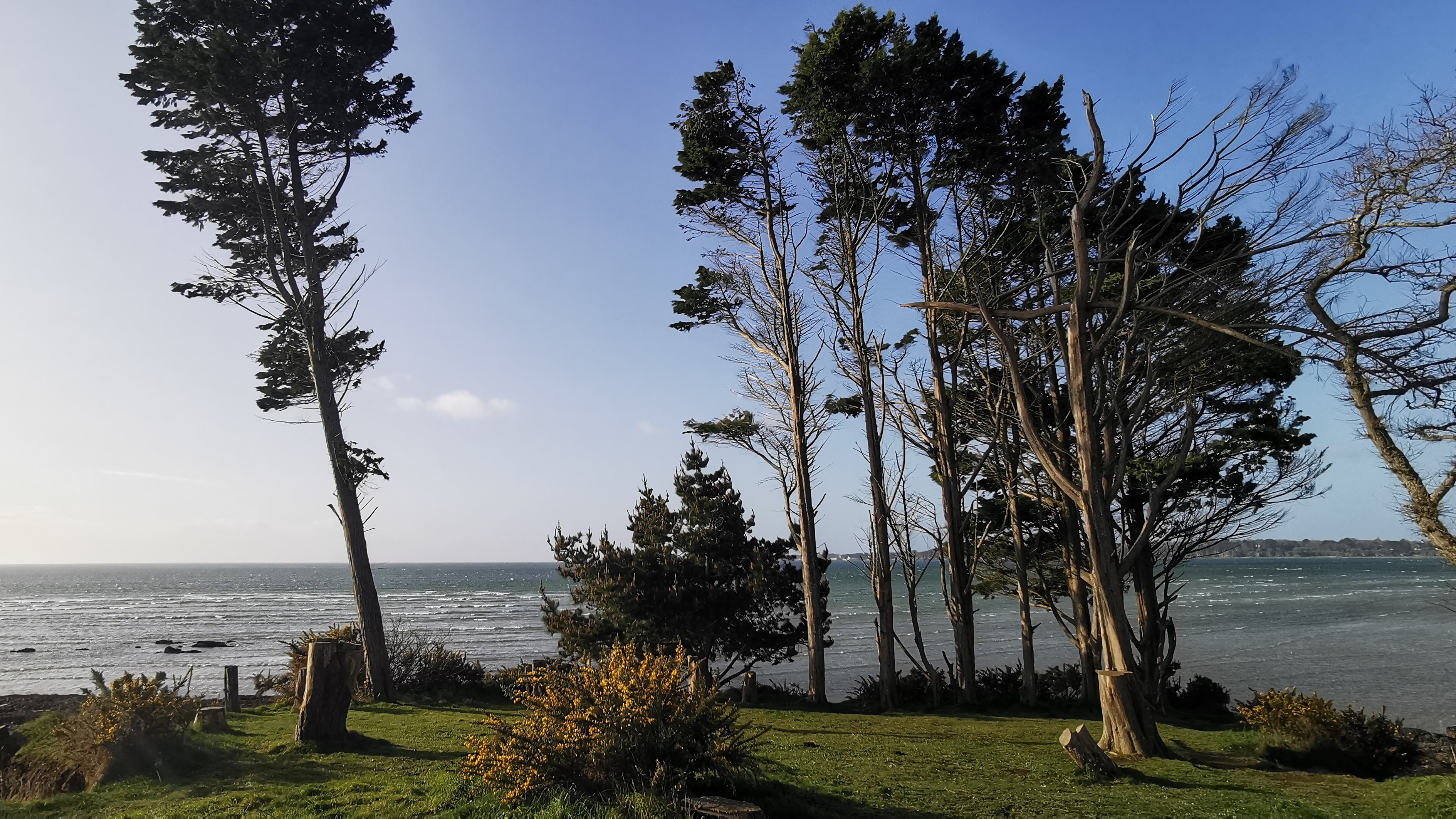 01-IMG_20210311_094000