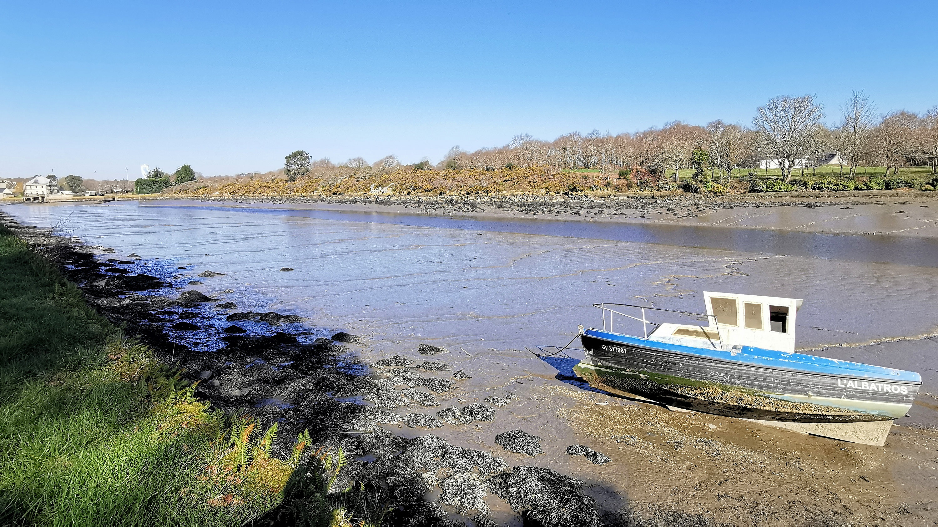 105-IMG_20210228_114849