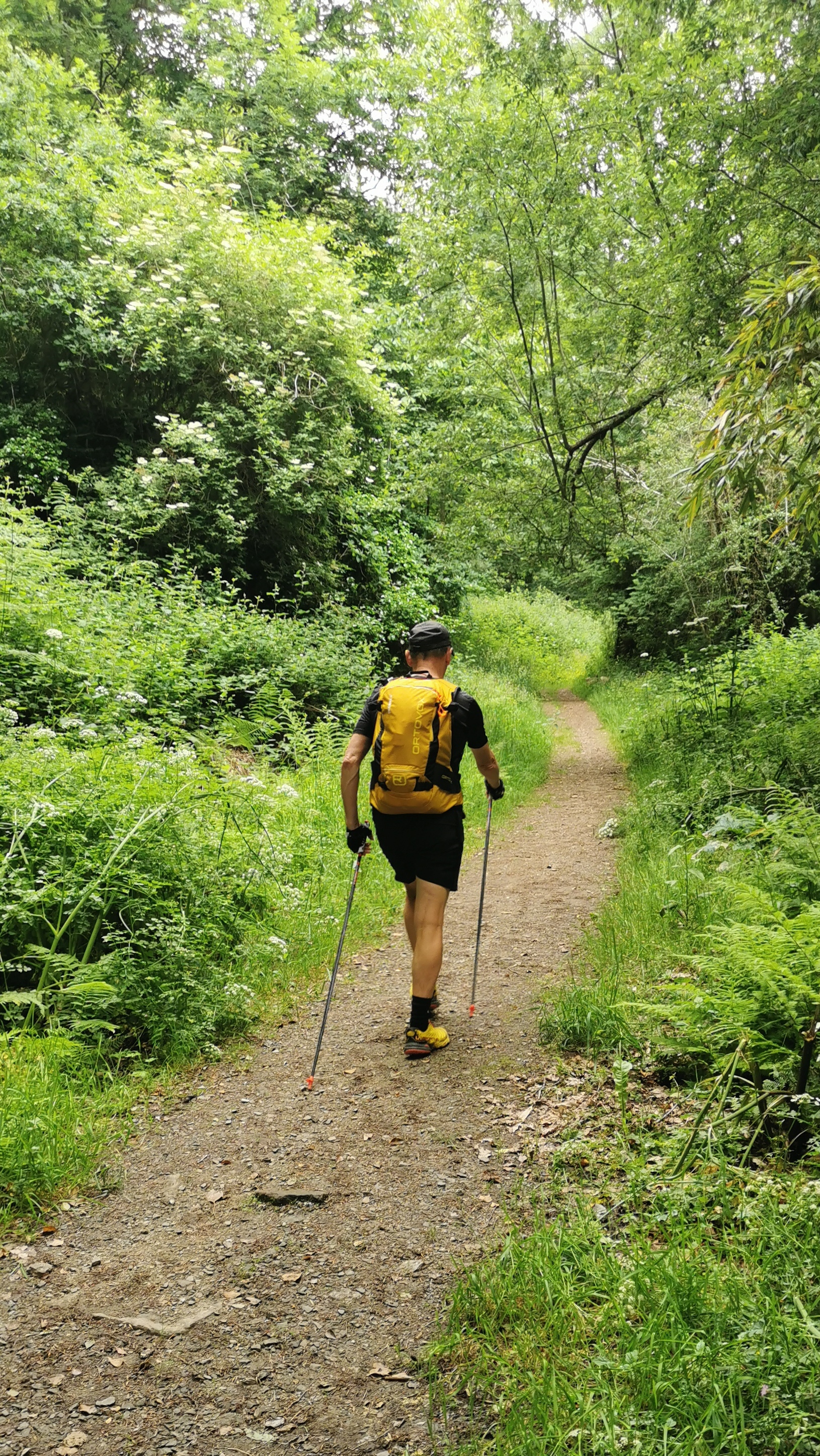 106-IMG_20210606_113807_1