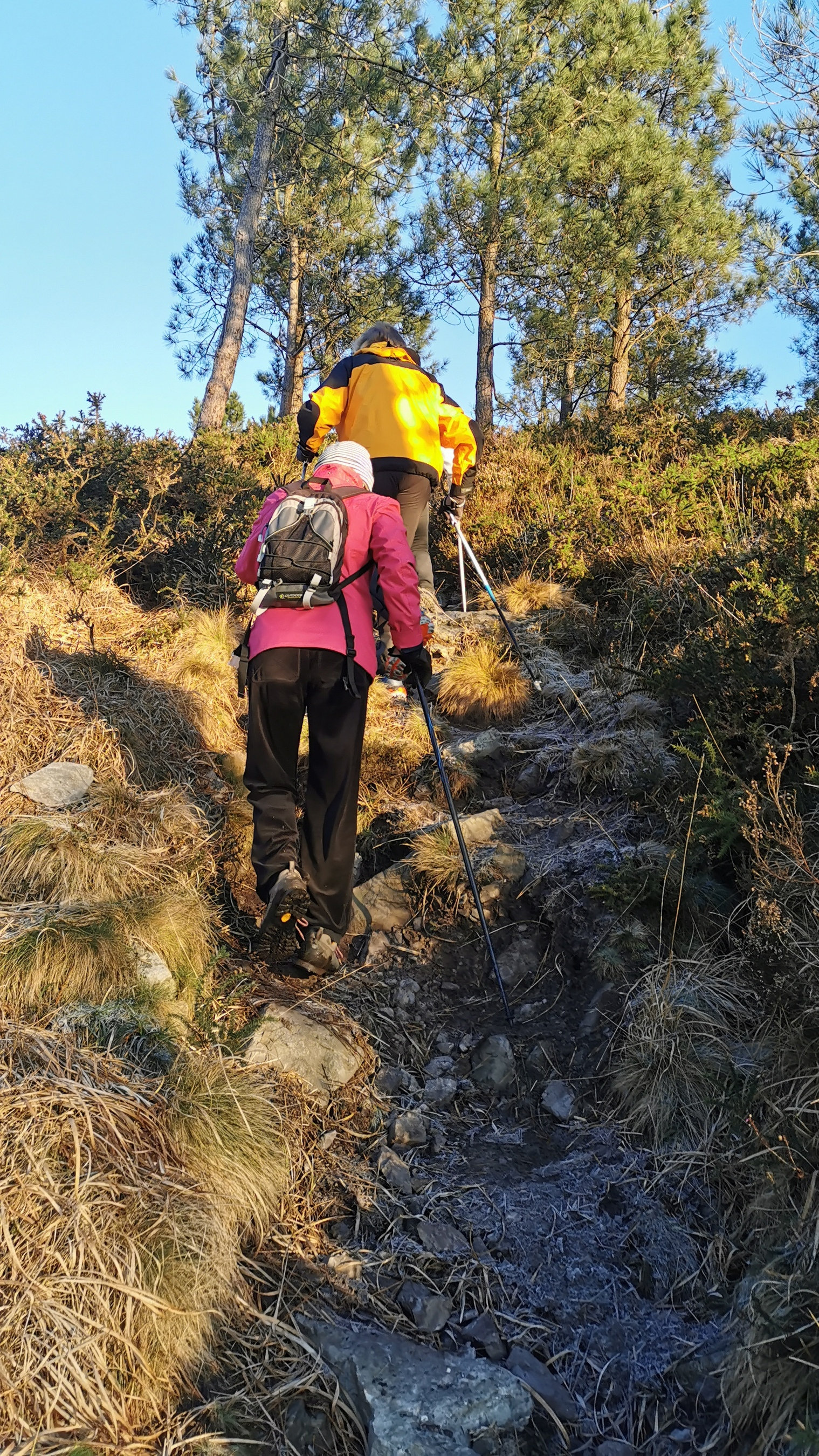 008-IMG_20210110_094702_1