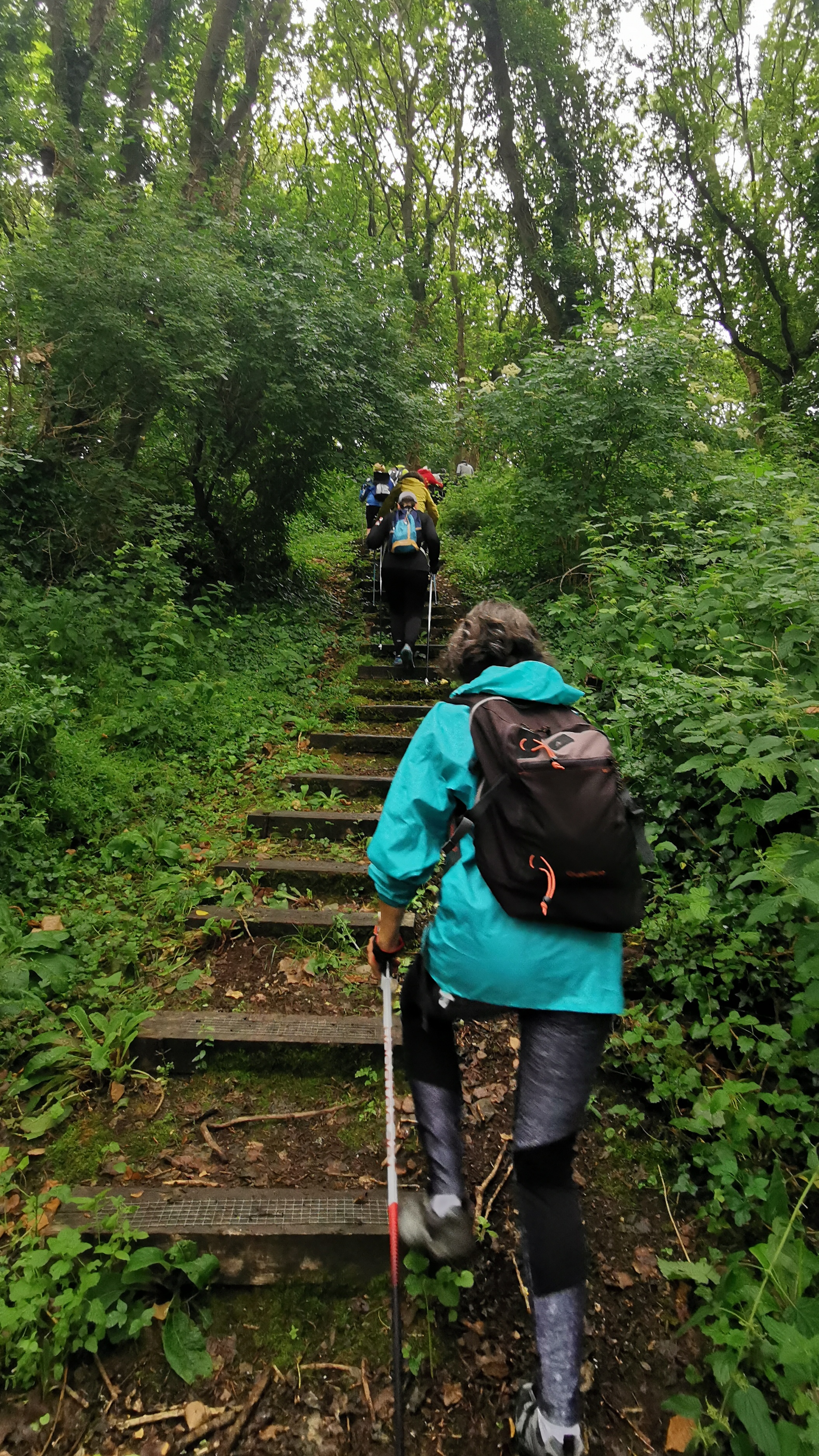 119-IMG_20210620_110621_1