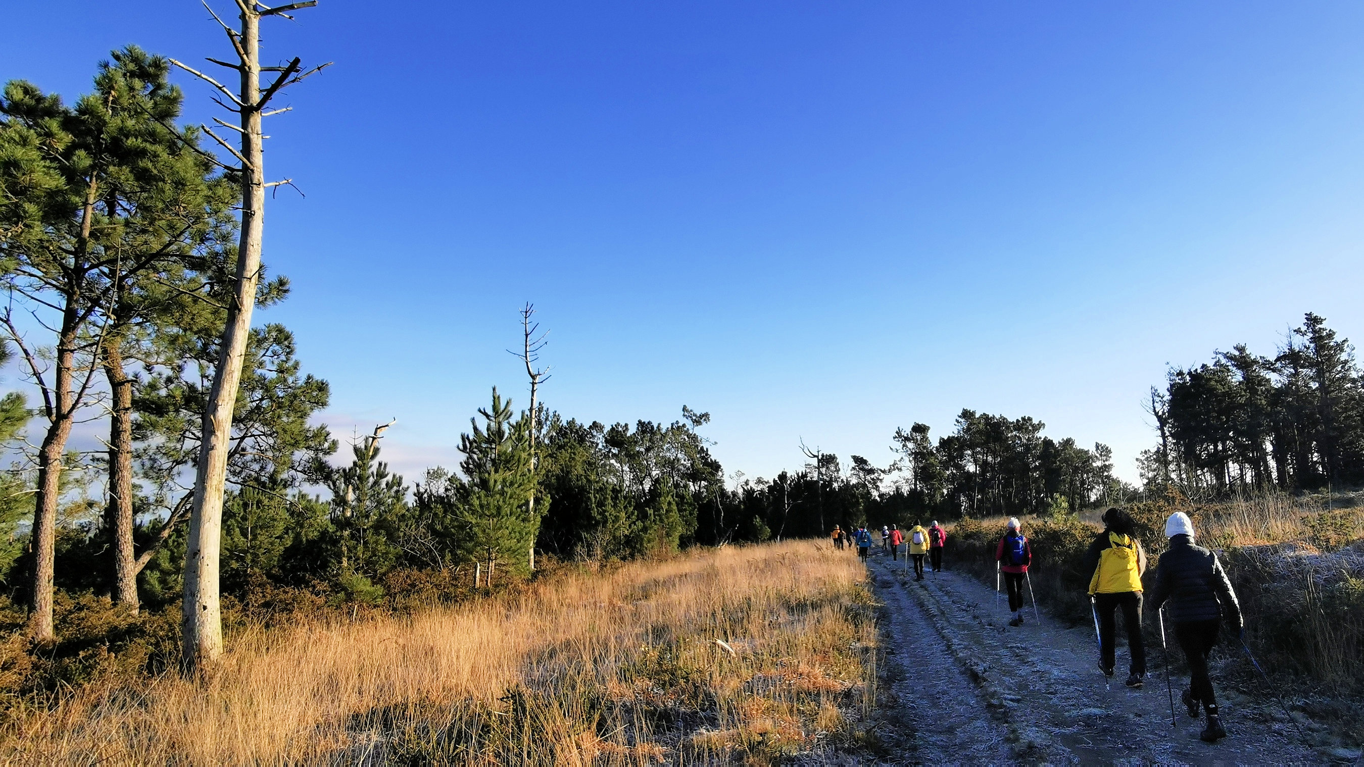 058-IMG_20210110_104036