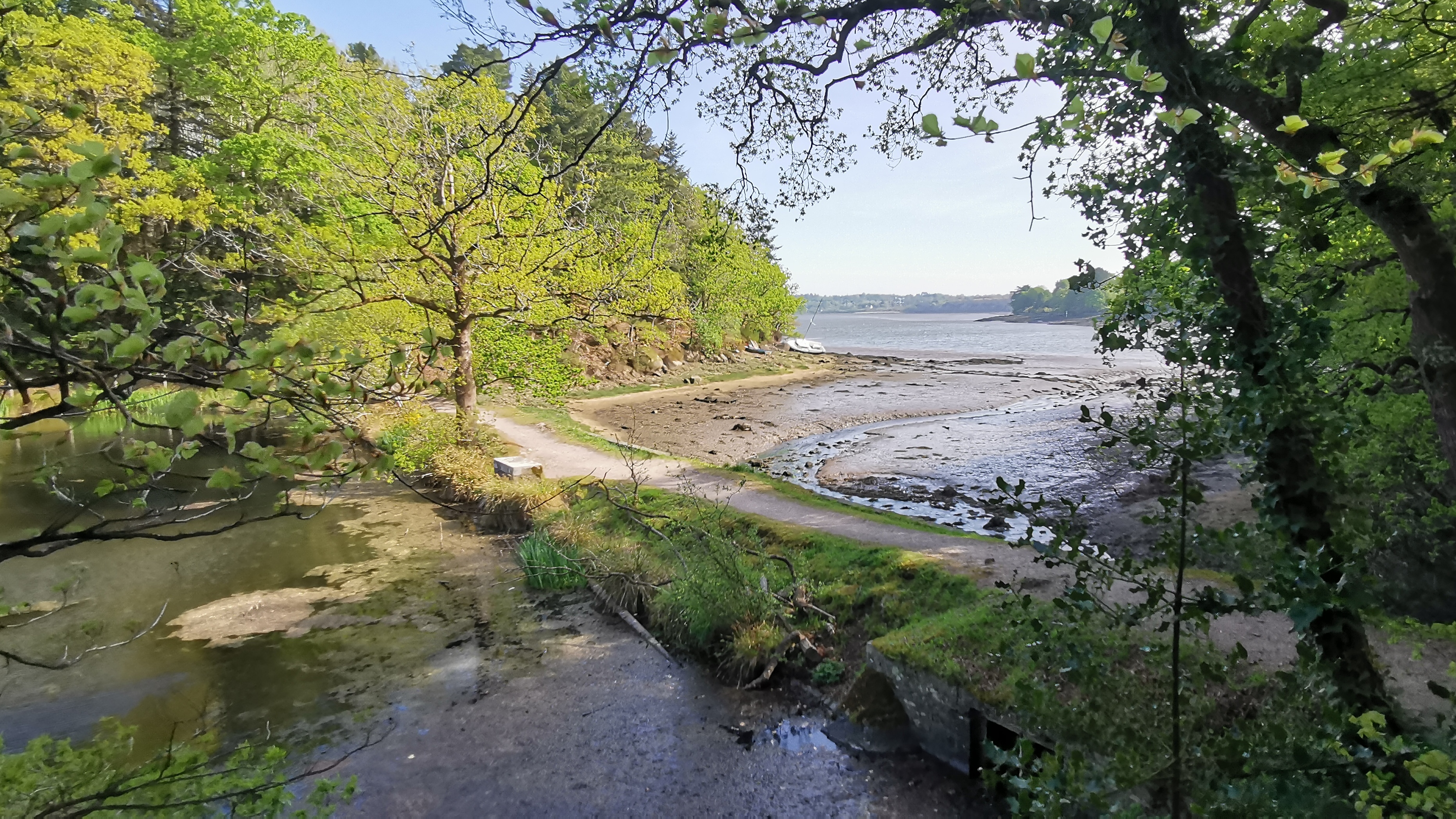 57-IMG_20210425_105404_1