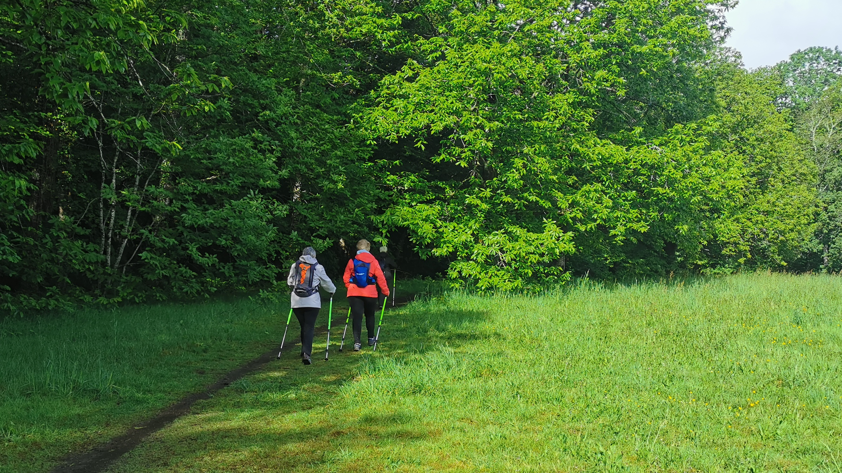 04-IMG_20210524_102827