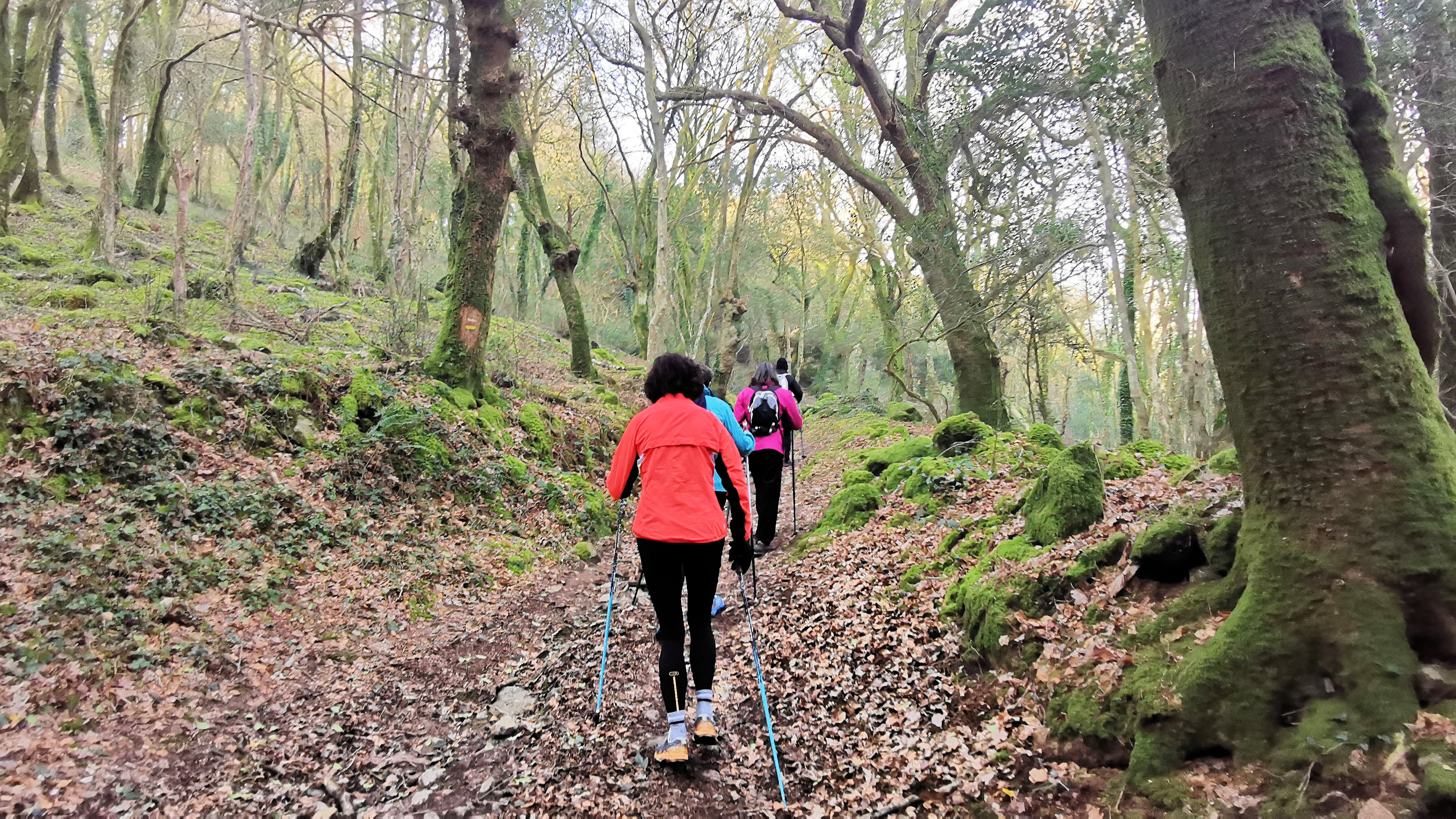 22-IMG_20210307_101356