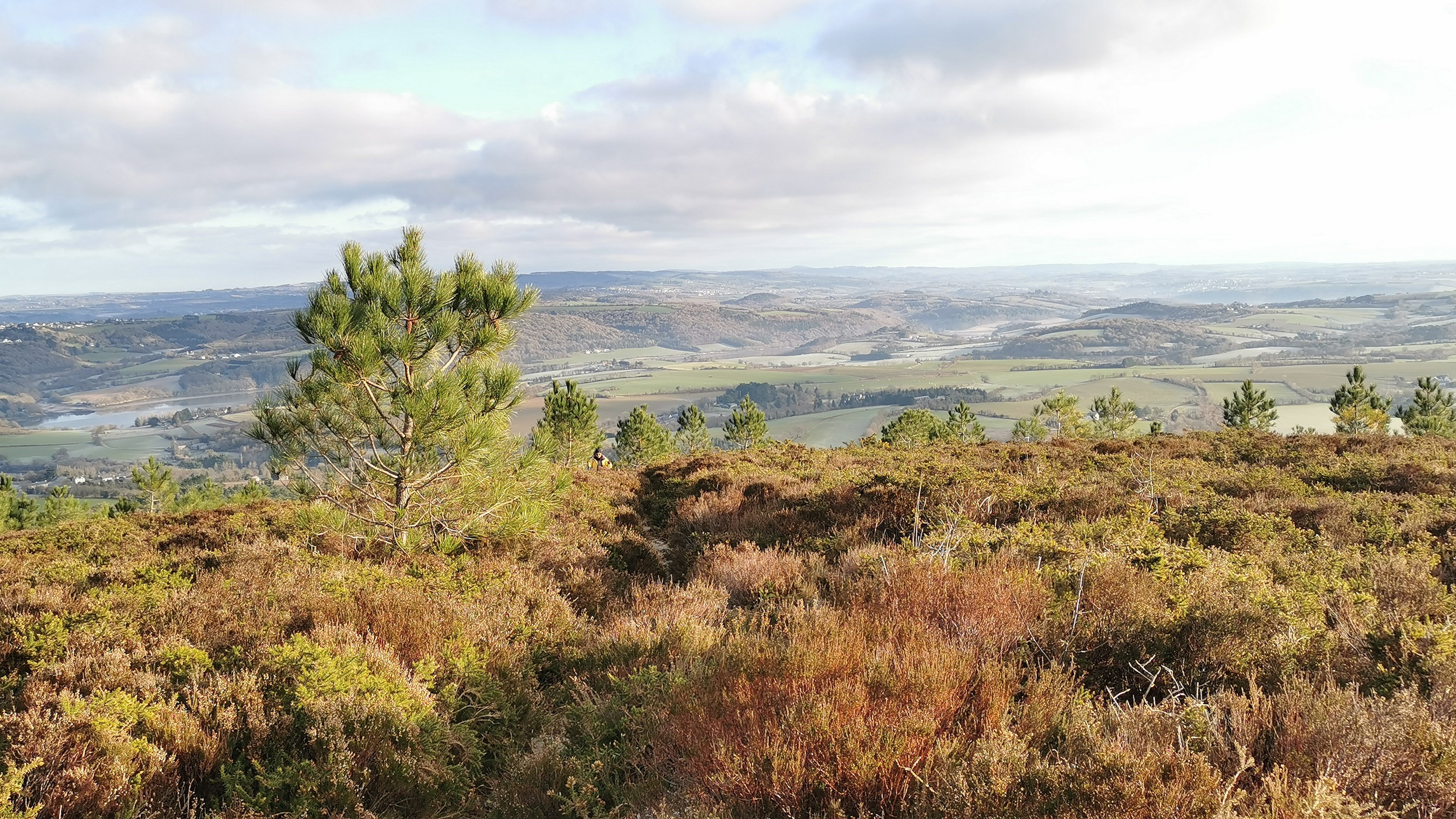 099-IMG_20210110_105958