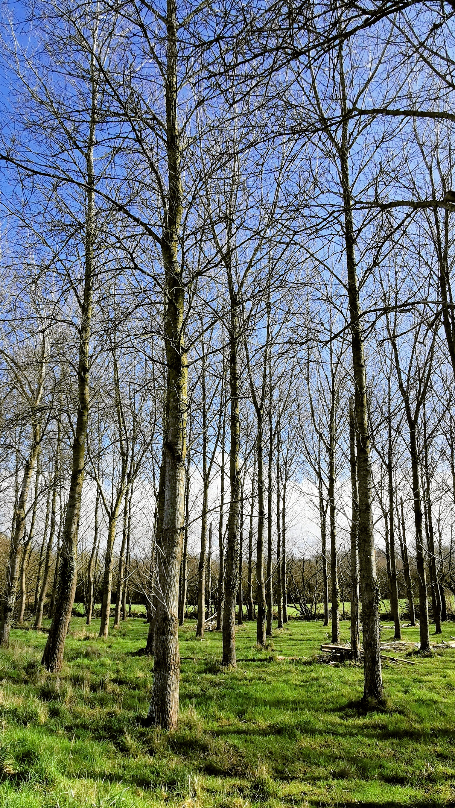 095-IMG_20210222_120848