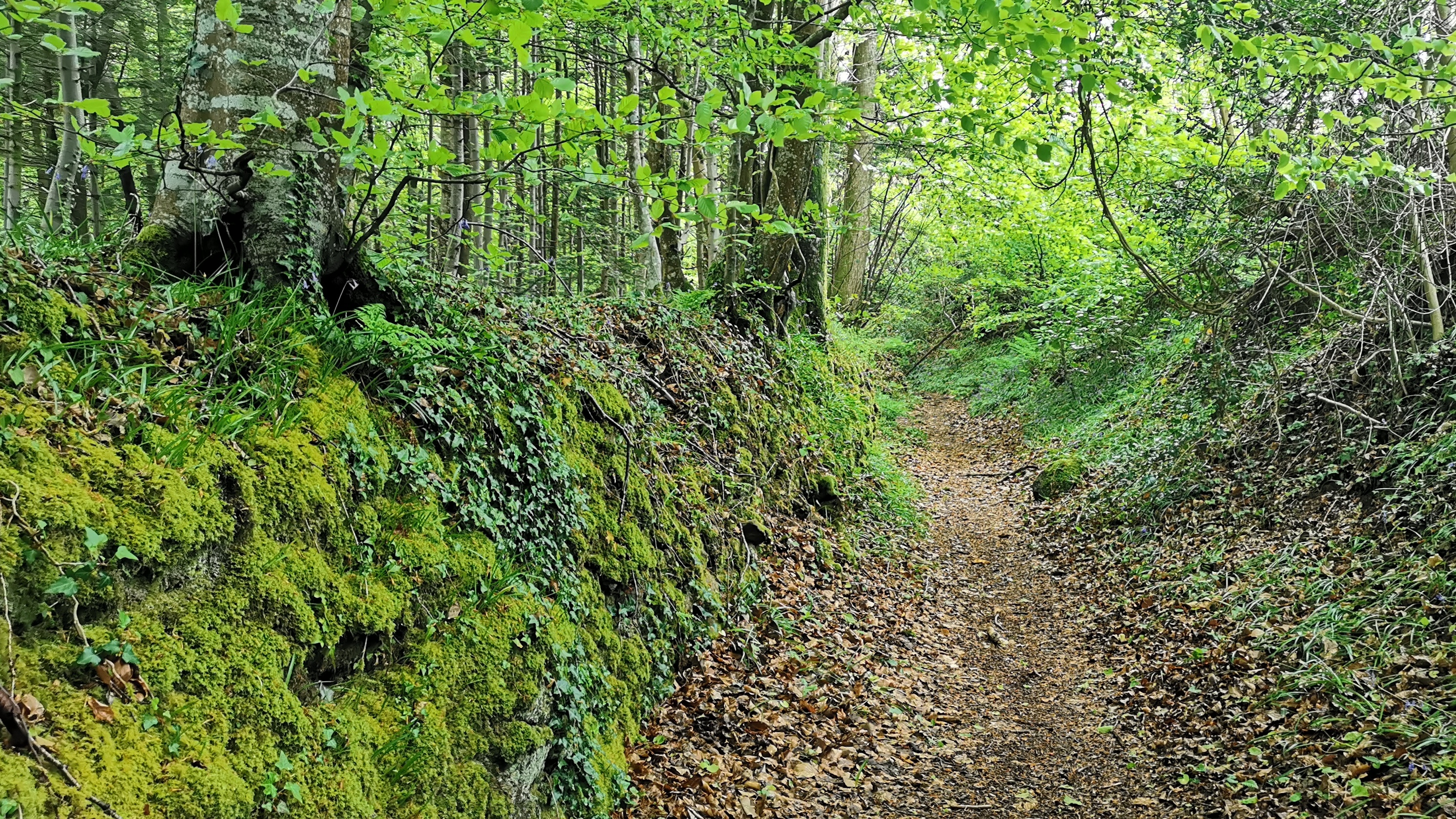 72-IMG_20210508_113812_1