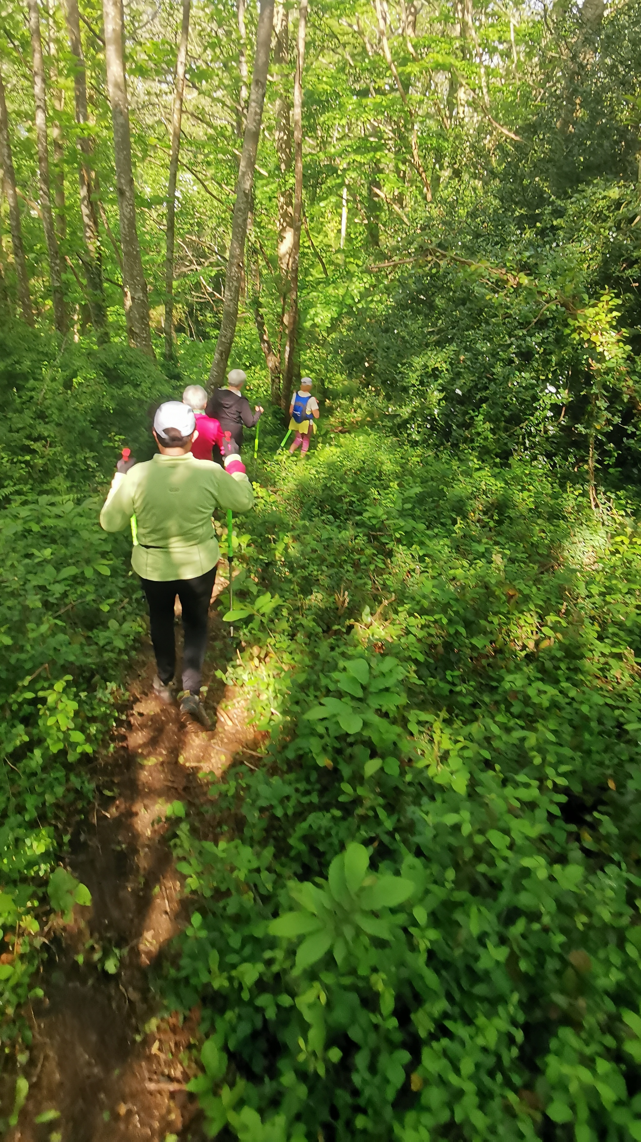 23-IMG_20210518_110253