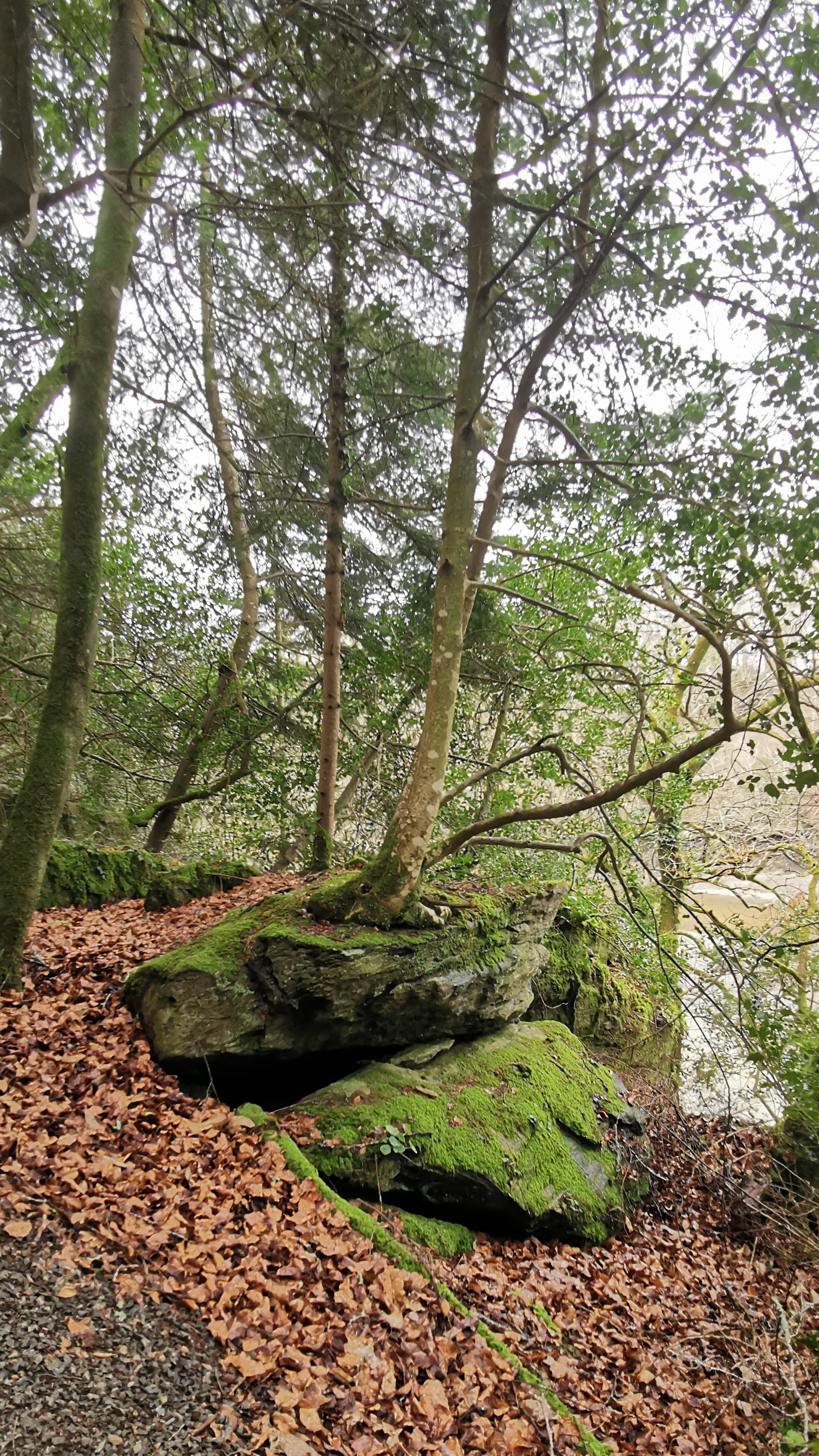 47-IMG_20210311_110023