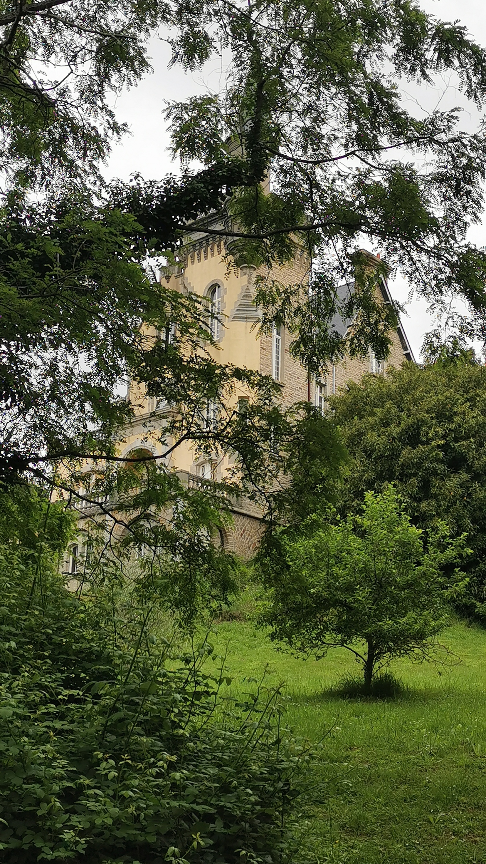 088-IMG_20210606_112117