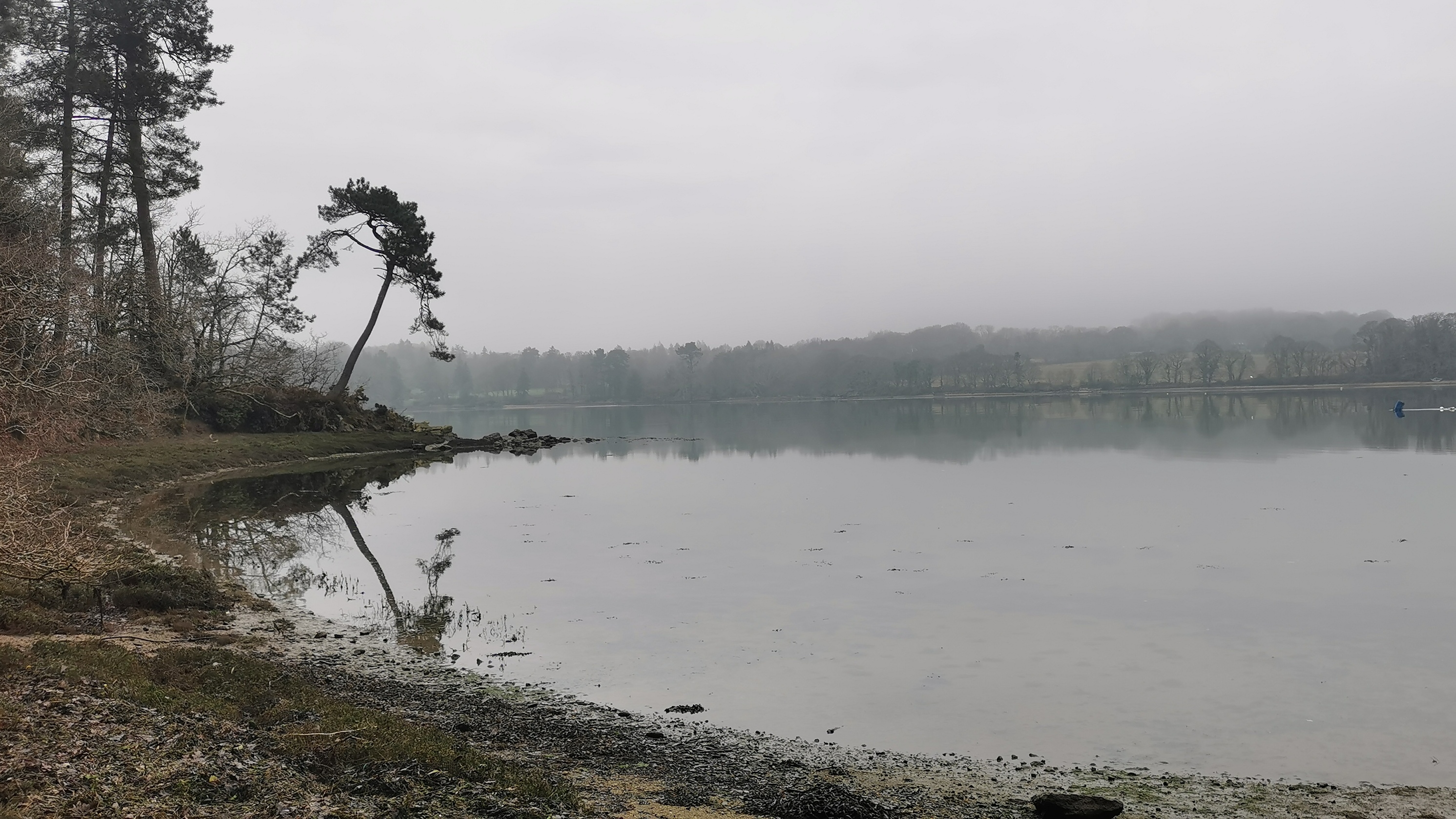 08-IMG_20210304_095850