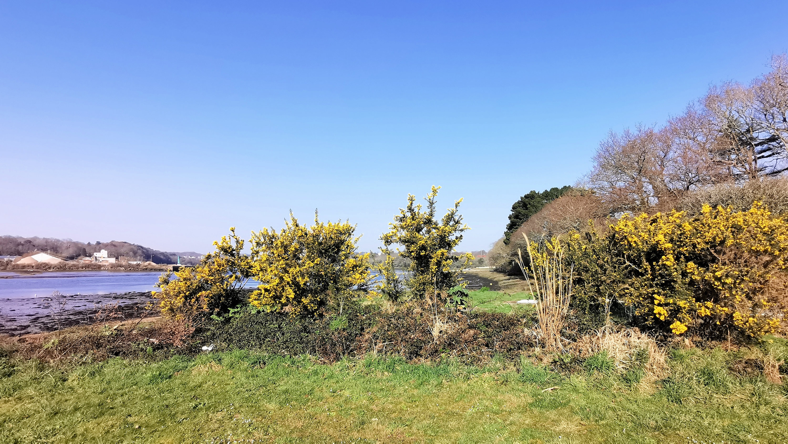 22-IMG_20210301_104041