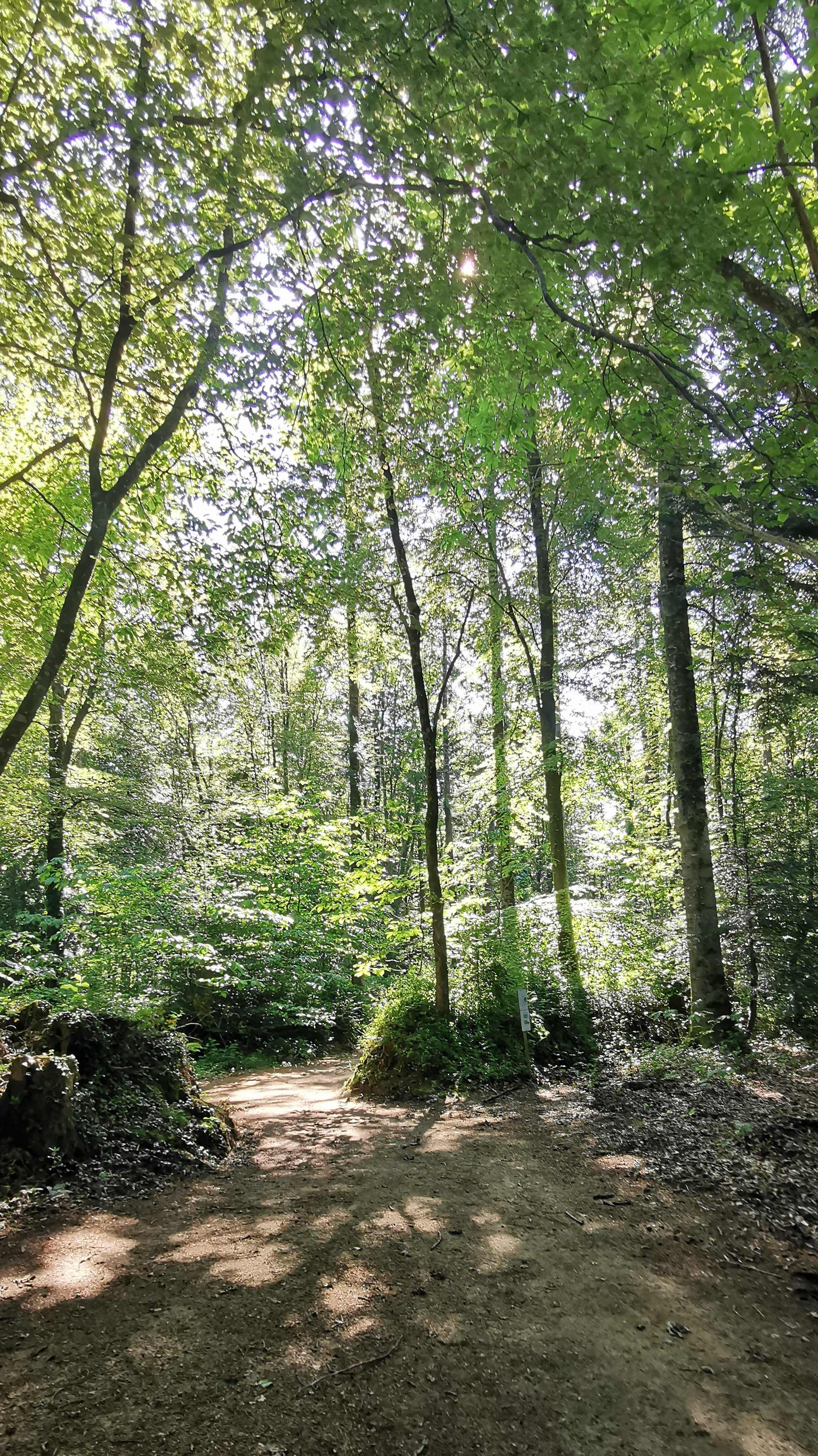 27-IMG_20210531_104601