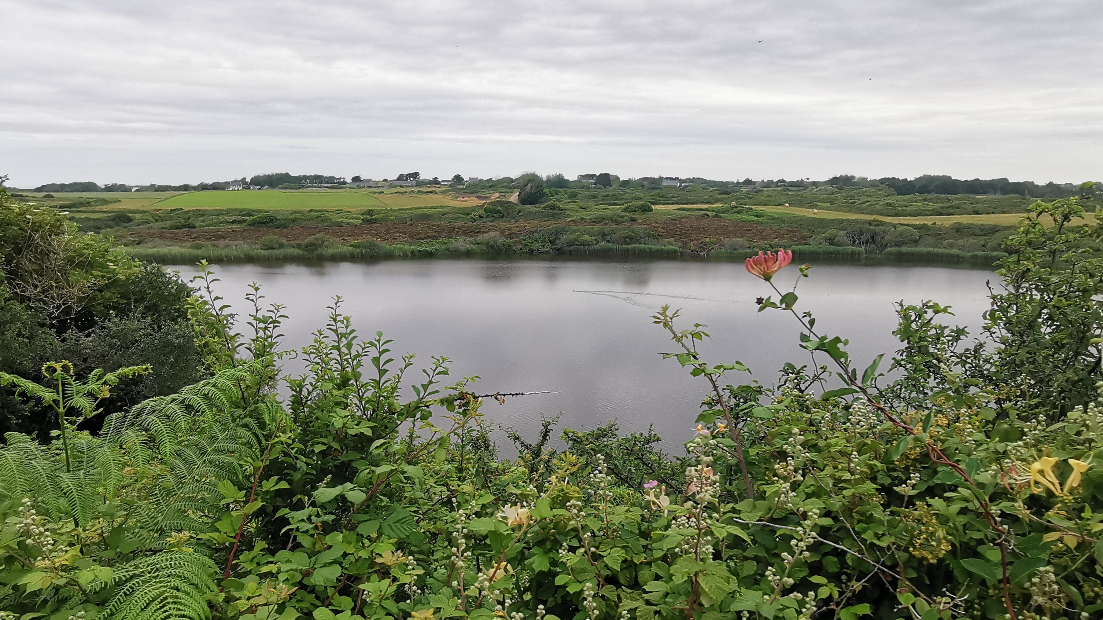 22-IMG_20210619_100130