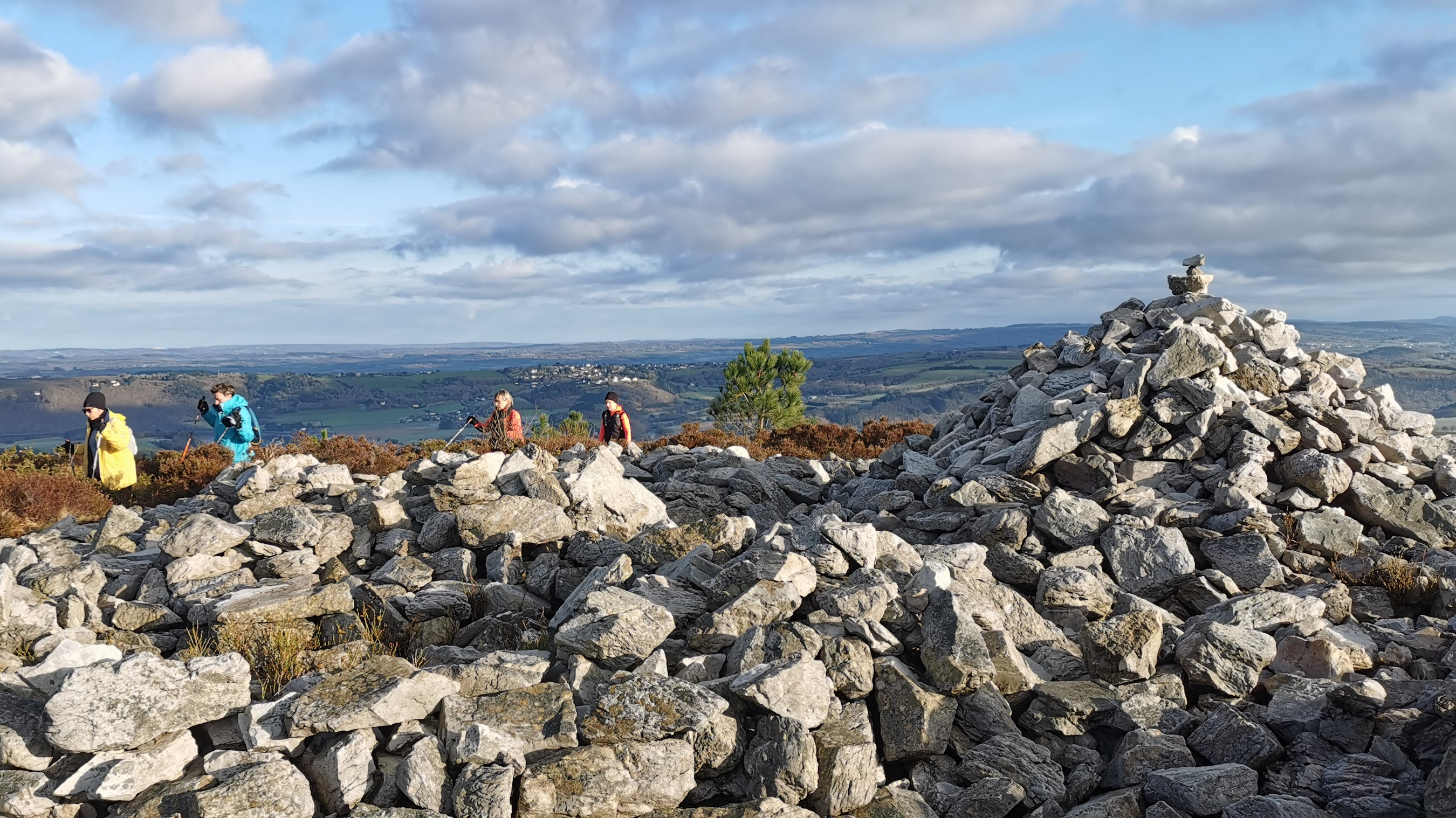 101-IMG_20210110_110045