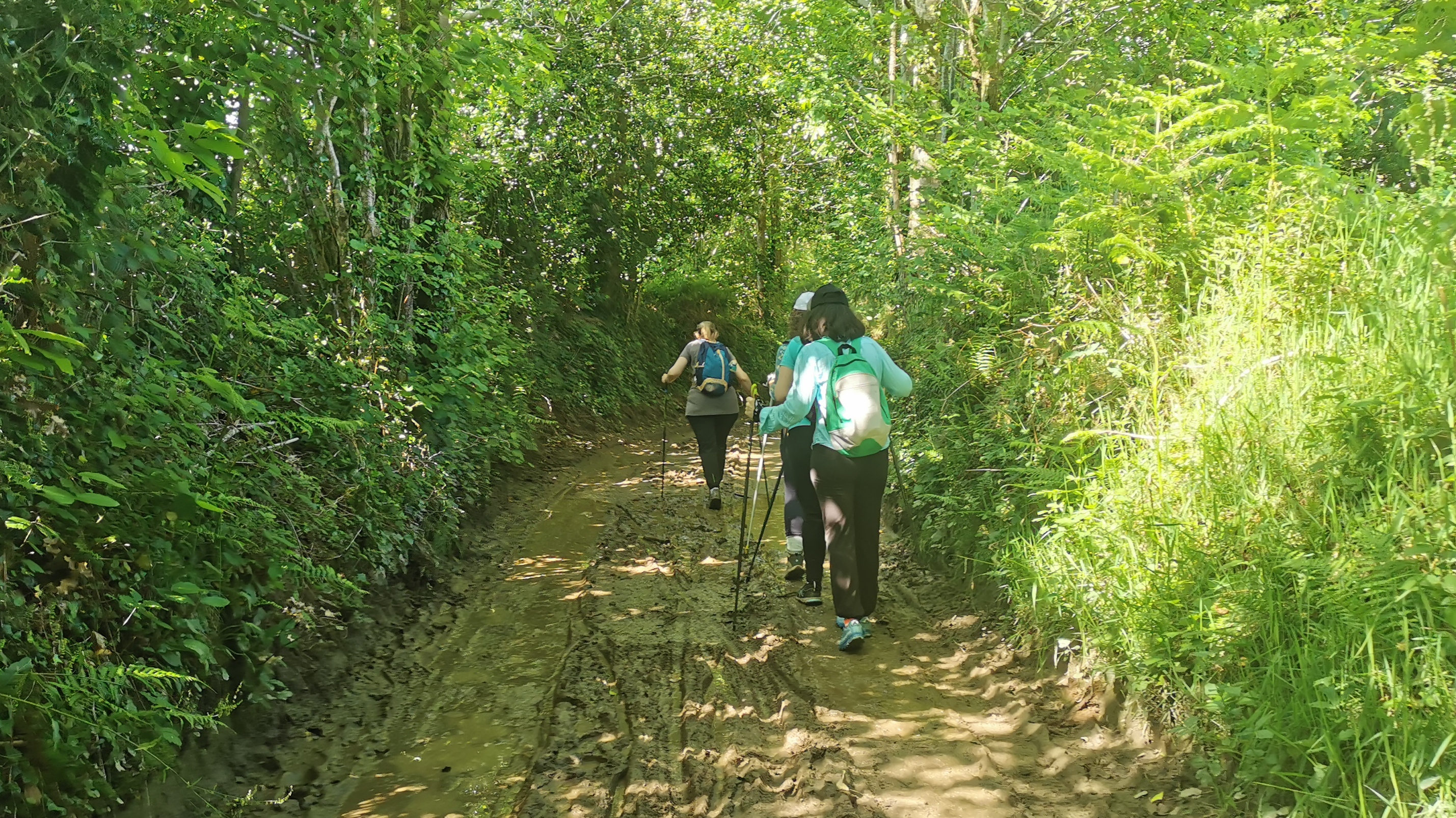 53-IMG_20210531_112216