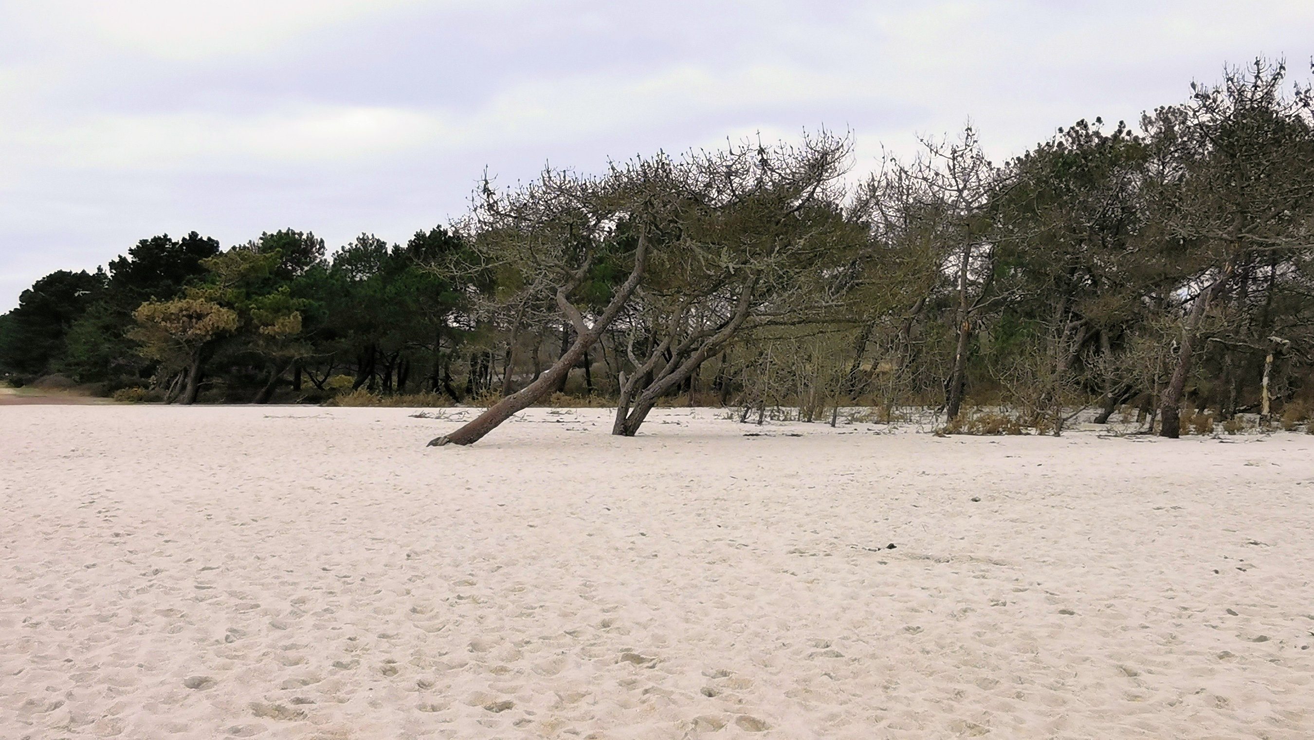 24-IMG_20210208_114619