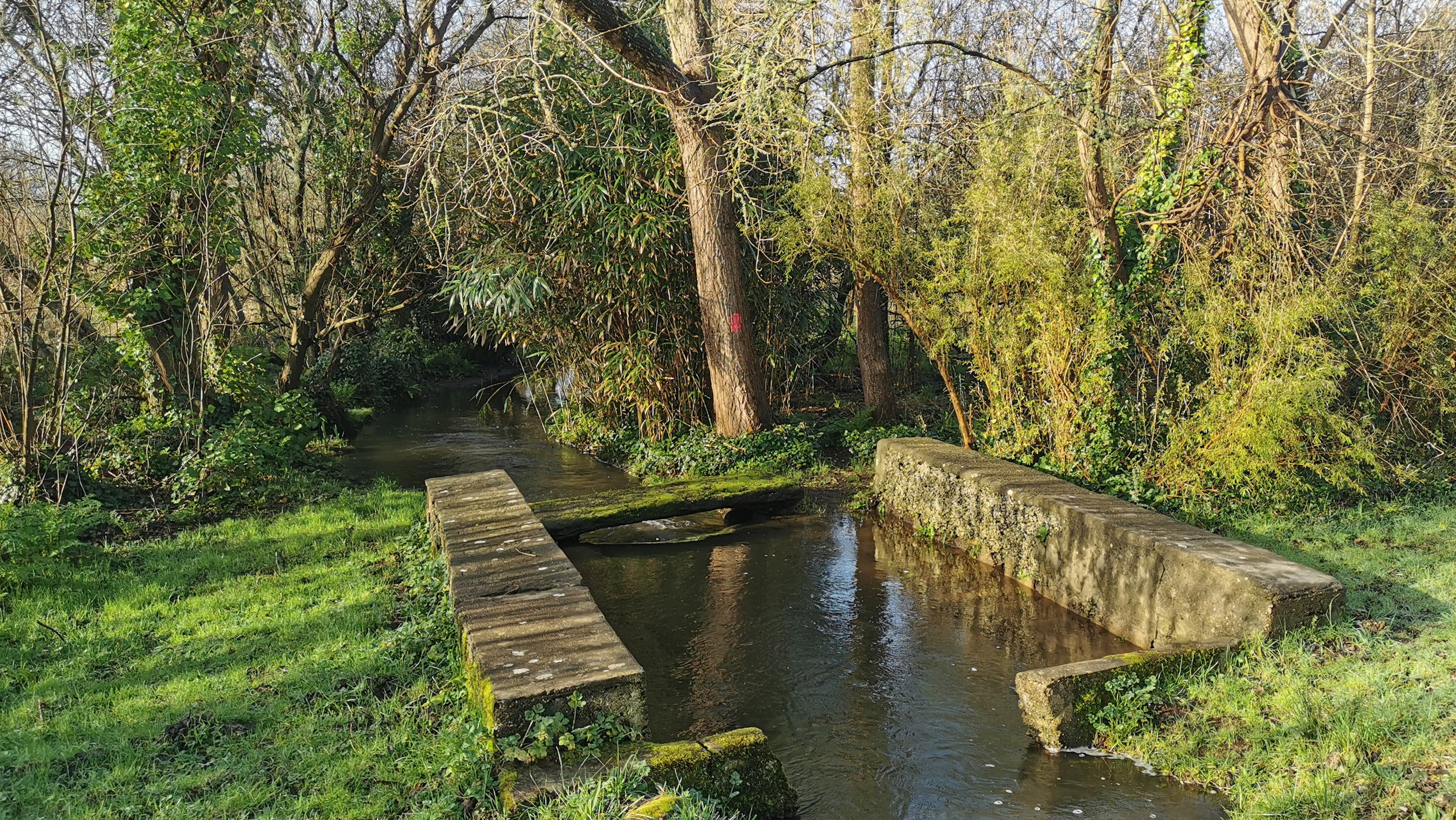 006-IMG_20210222_100101