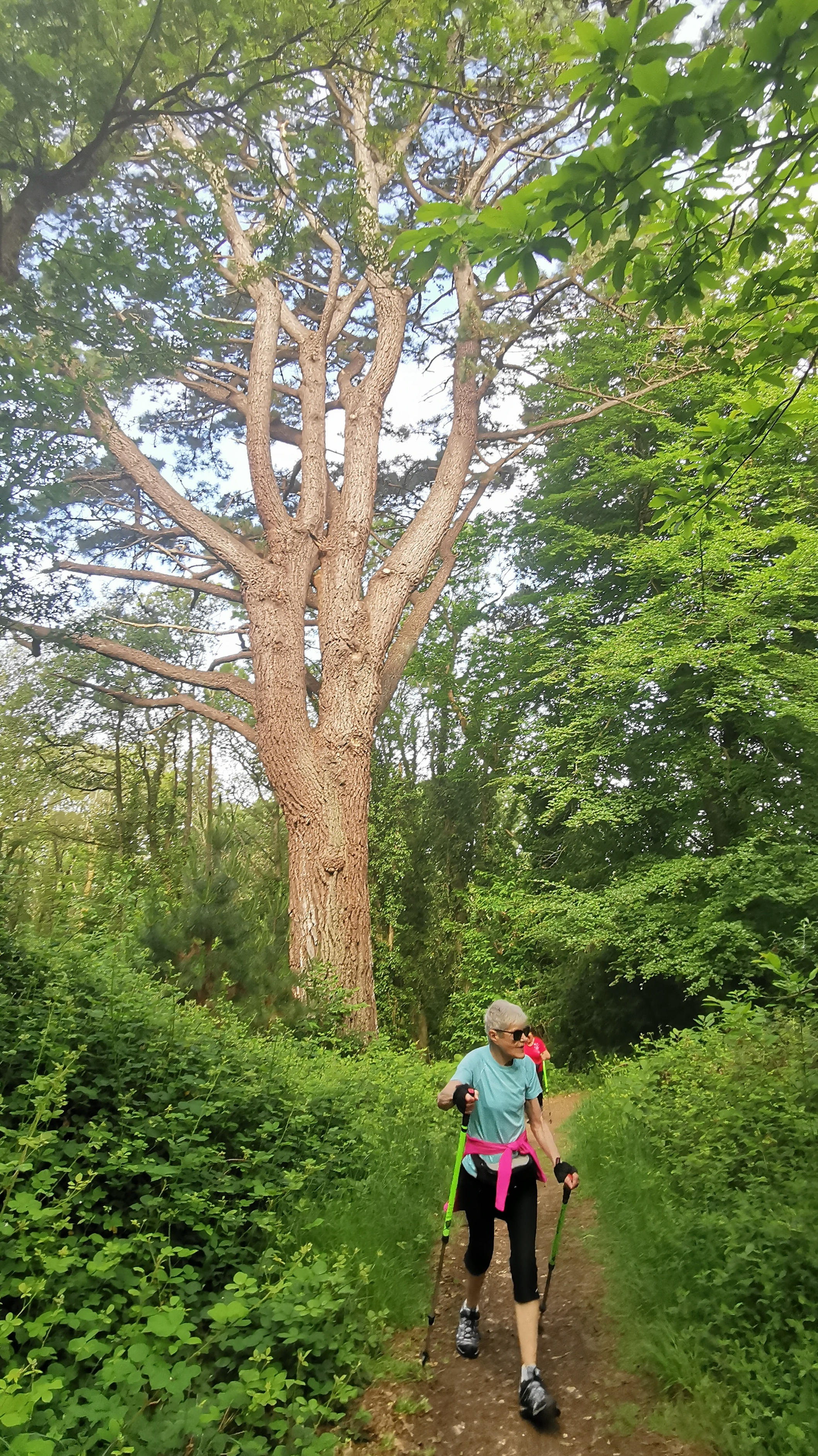 16-IMG_20210608_102231_1