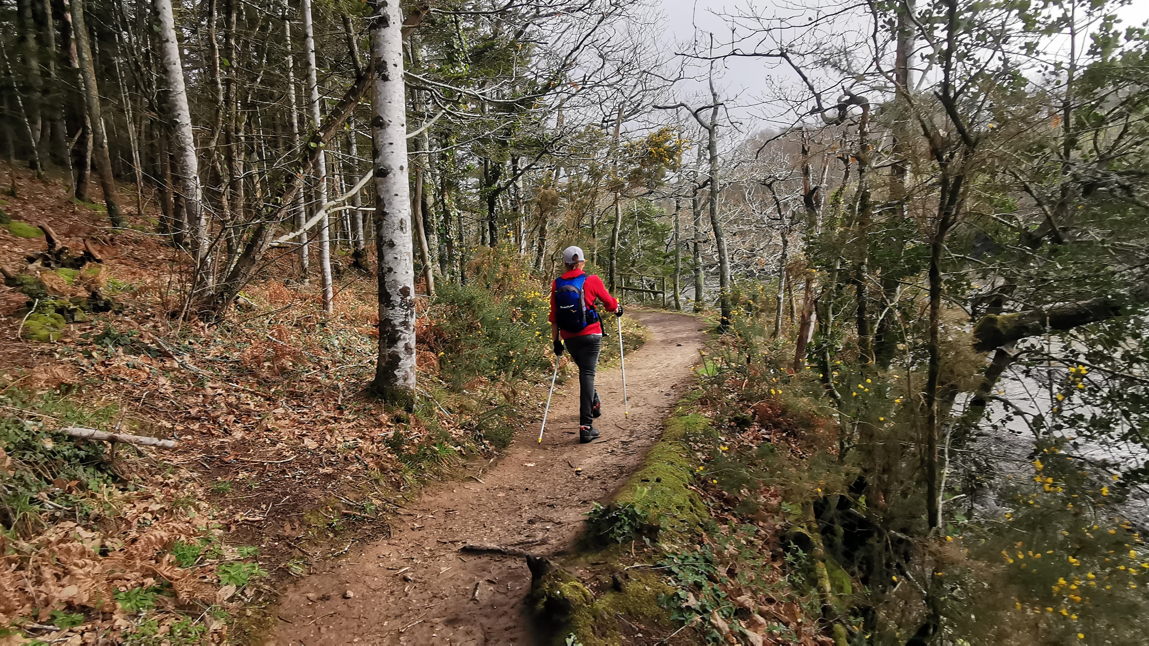 22-IMG_20210311_103330