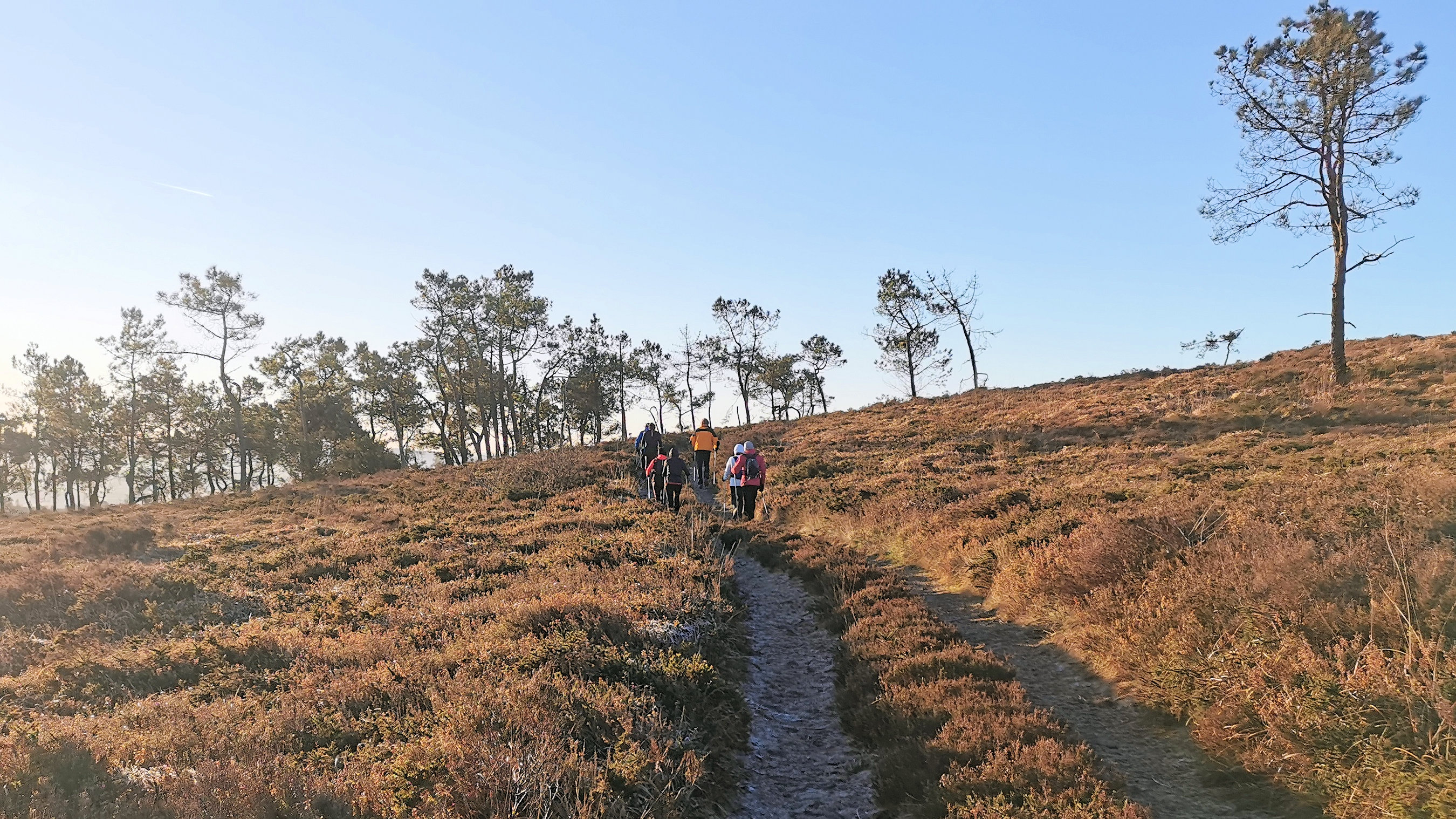 022-IMG_20210110_100432